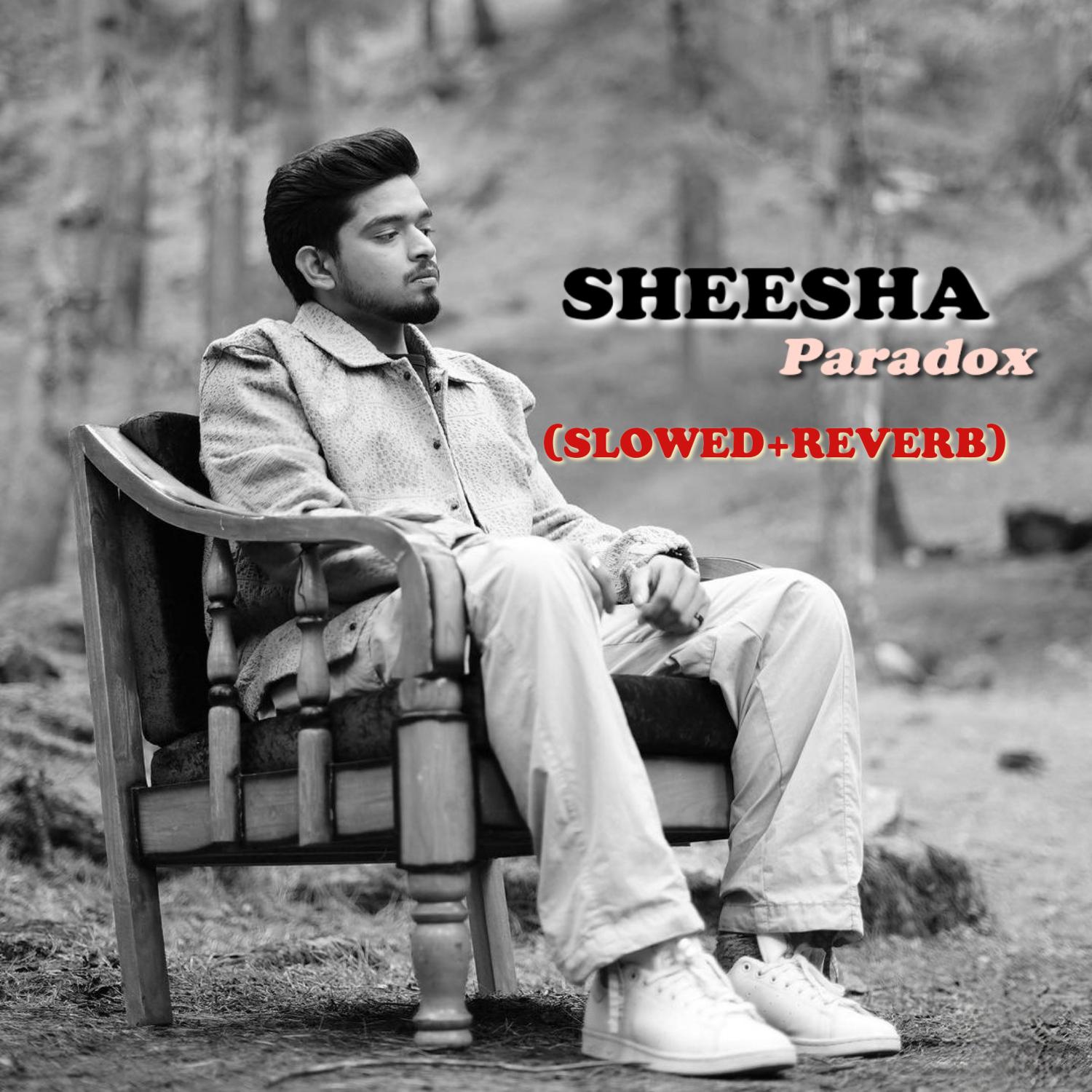 Постер альбома Sheesha
