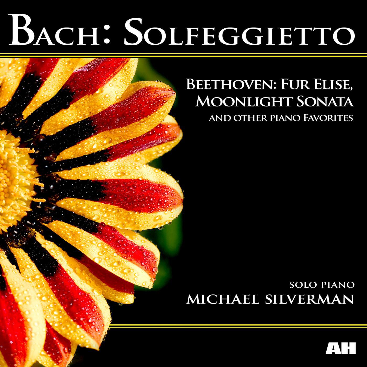 Michael SIlverman - Twinkle, Twinkle, Little Star