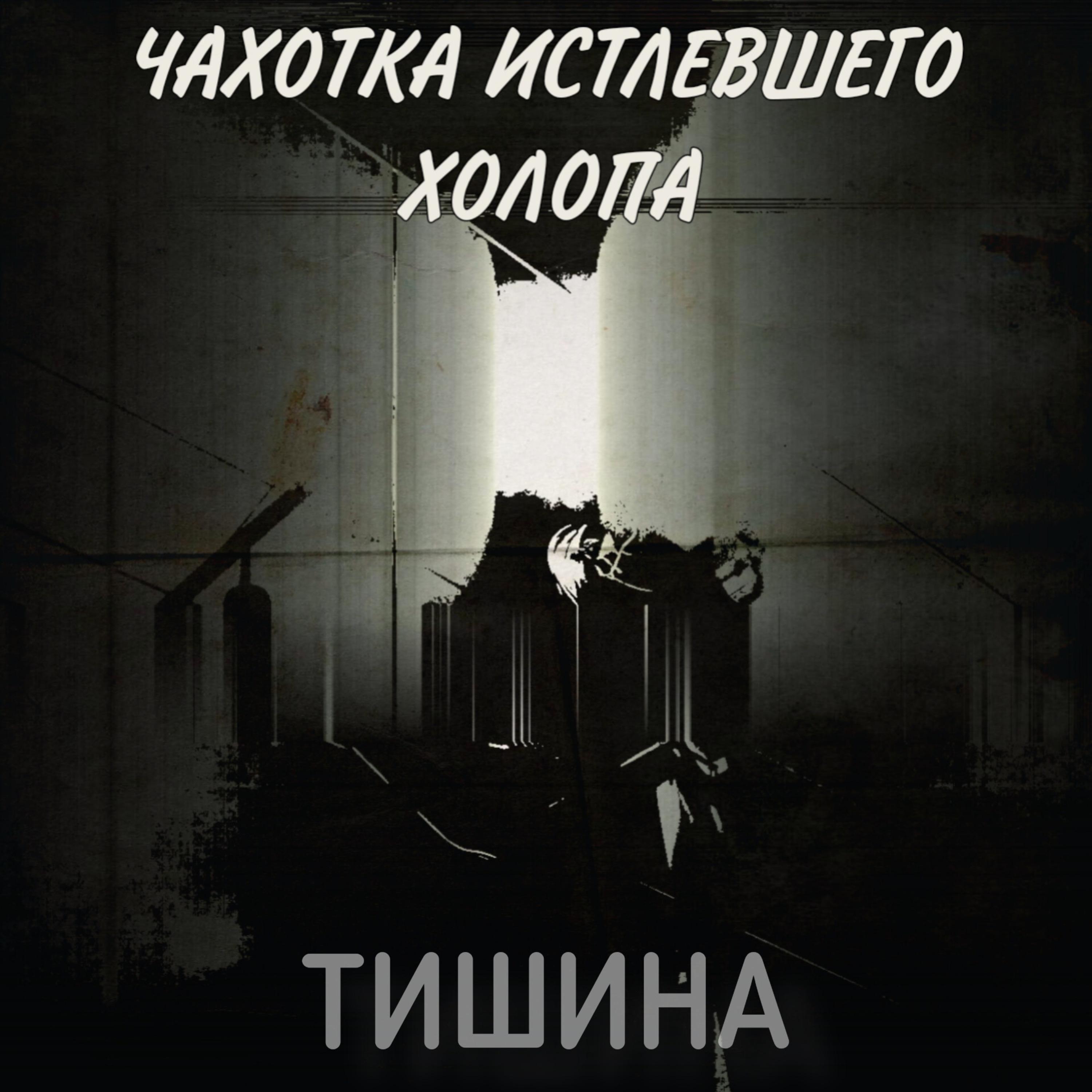 Постер альбома Тишина