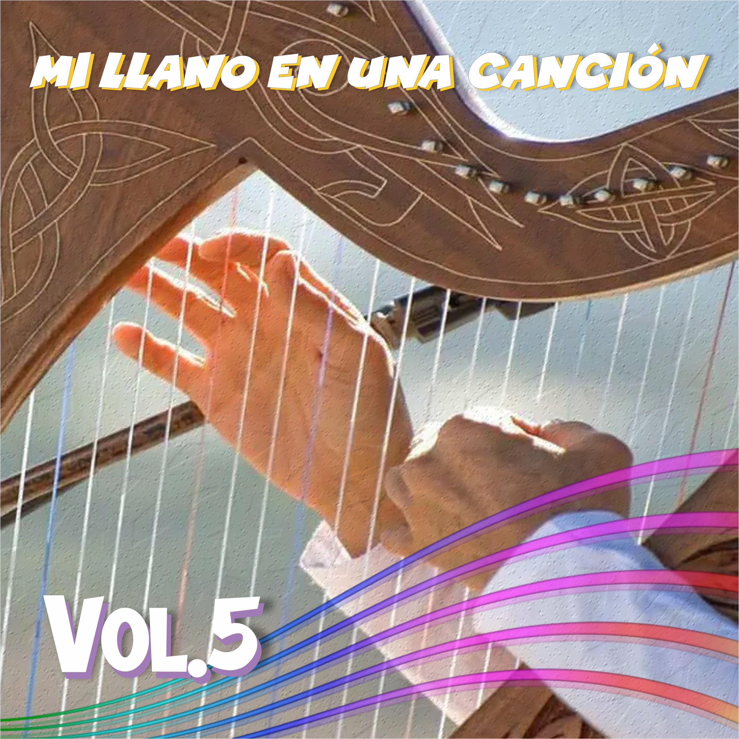 Постер альбома Mi Llano En Una Canción, Vol.5