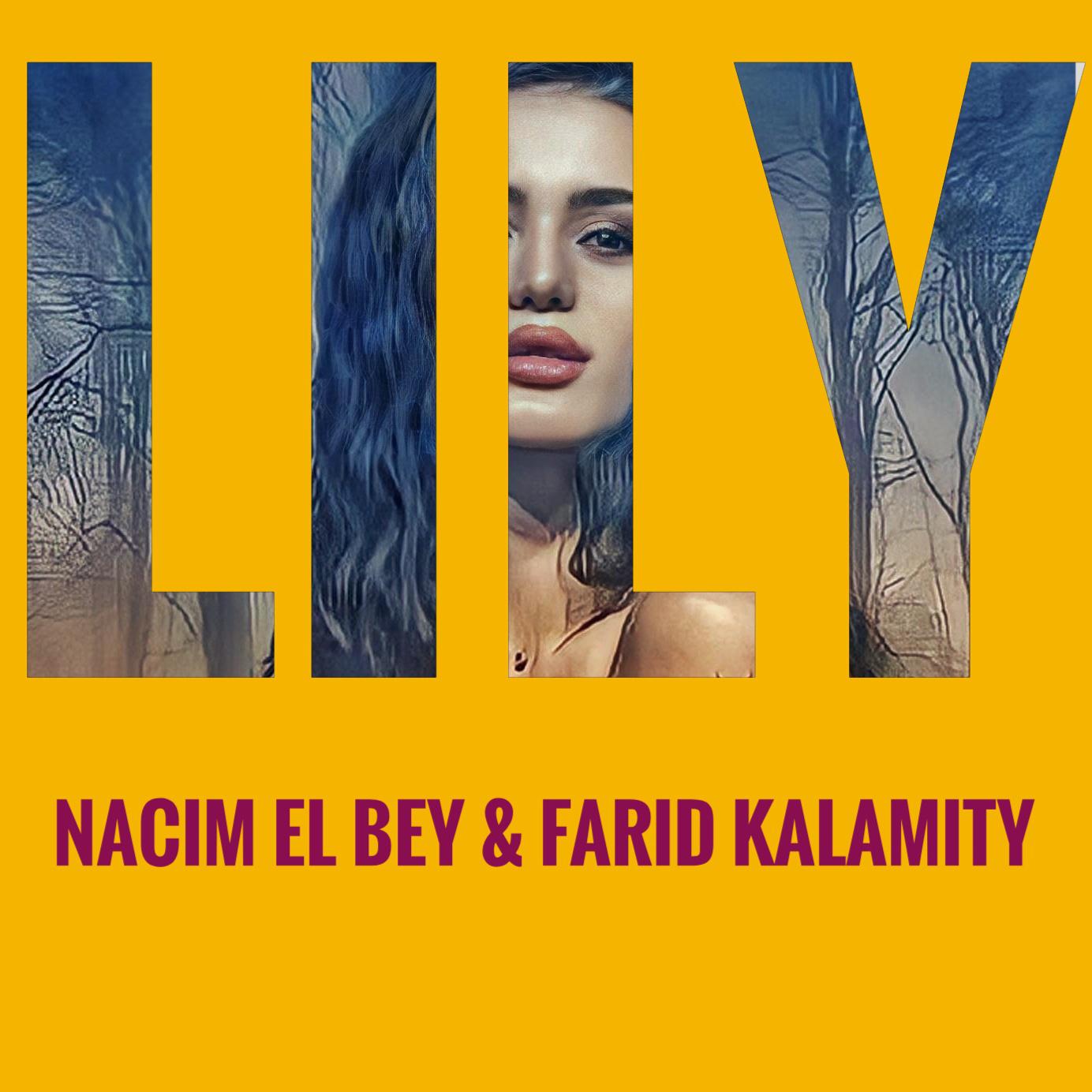 Постер альбома LILY