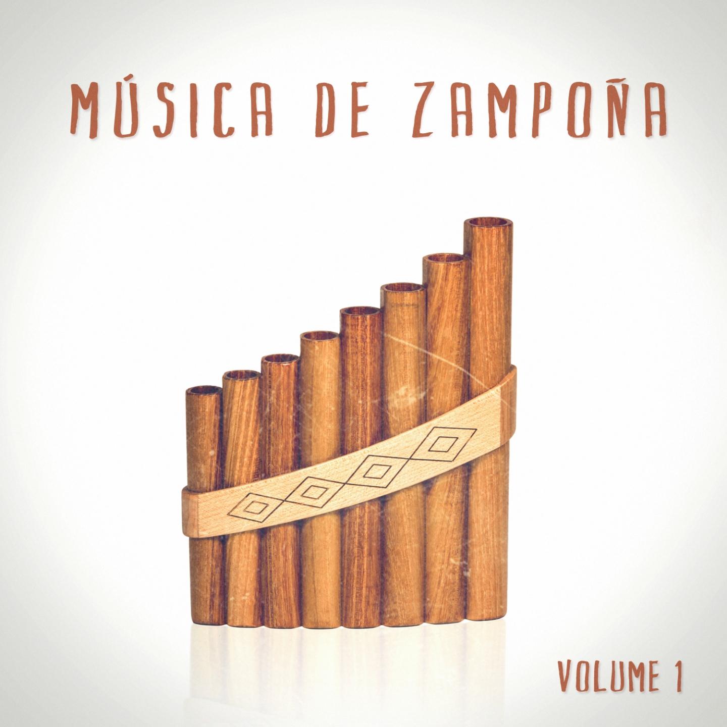 Постер альбома Música de Zampoña