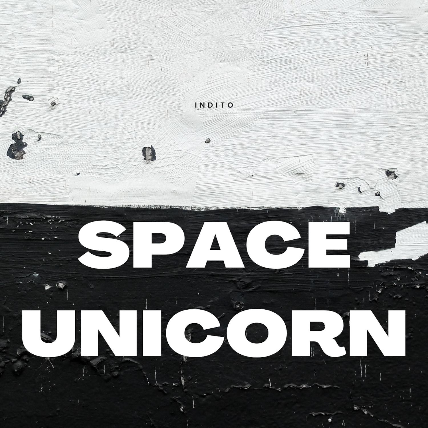 Постер альбома Space Unicorn