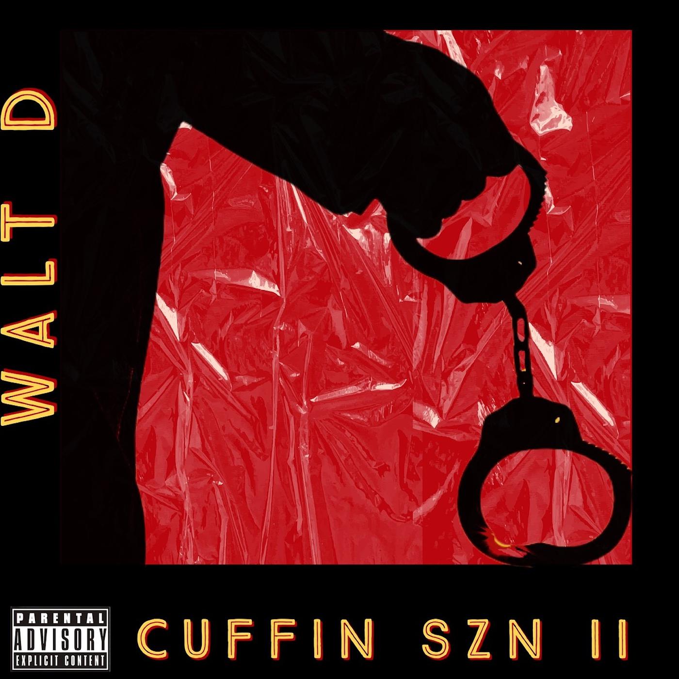Постер альбома Cuffin Szn 2
