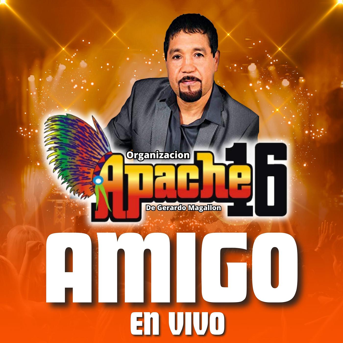 Постер альбома Amigo En Vivo