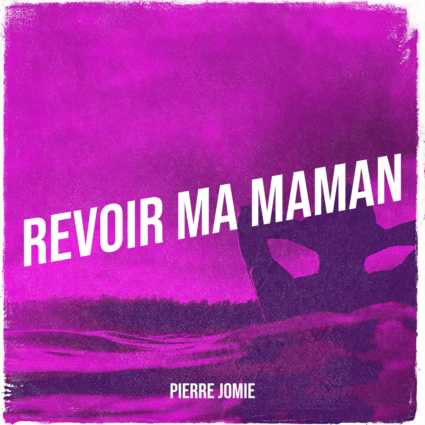Постер альбома revoir ma maman