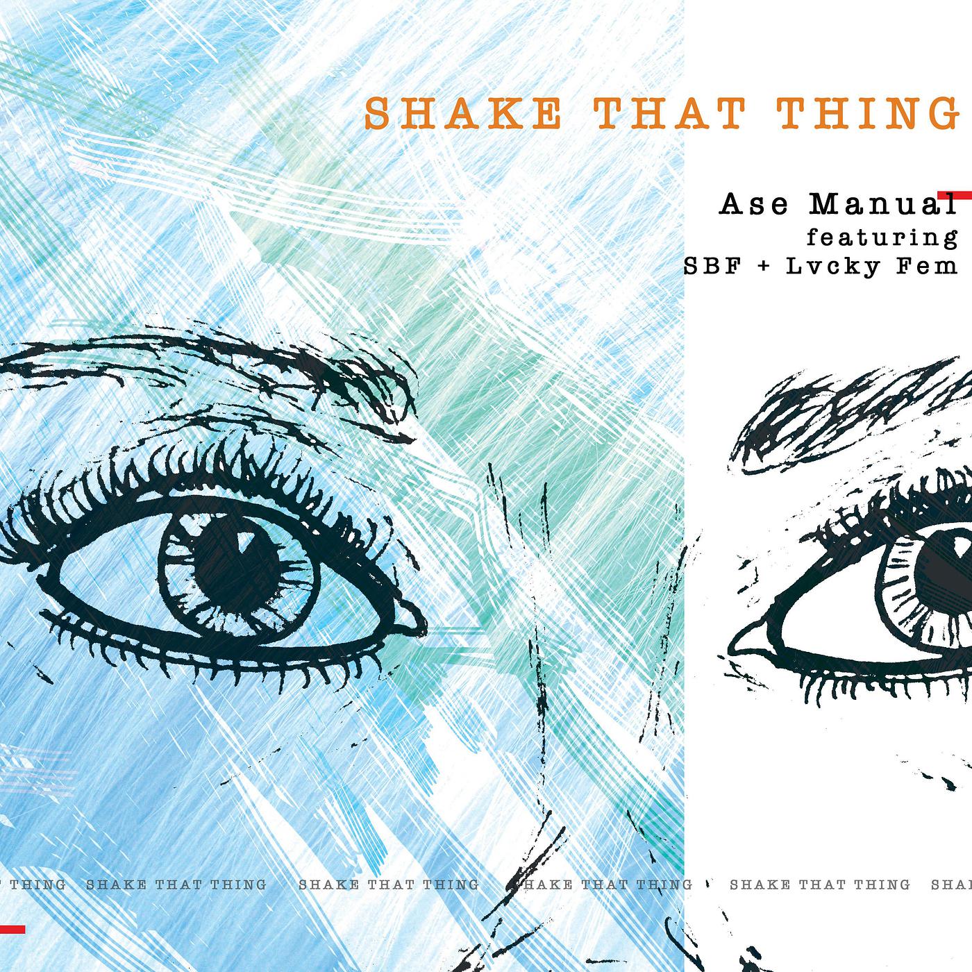 Постер альбома Shake That Thing