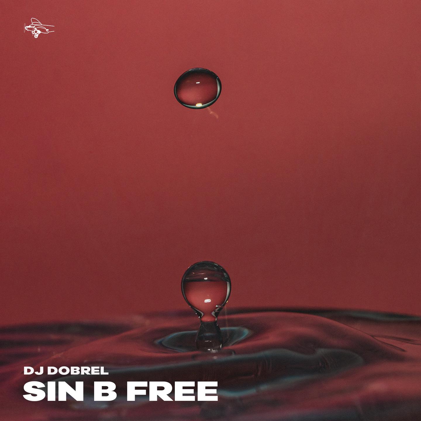 Постер альбома Sin B Free