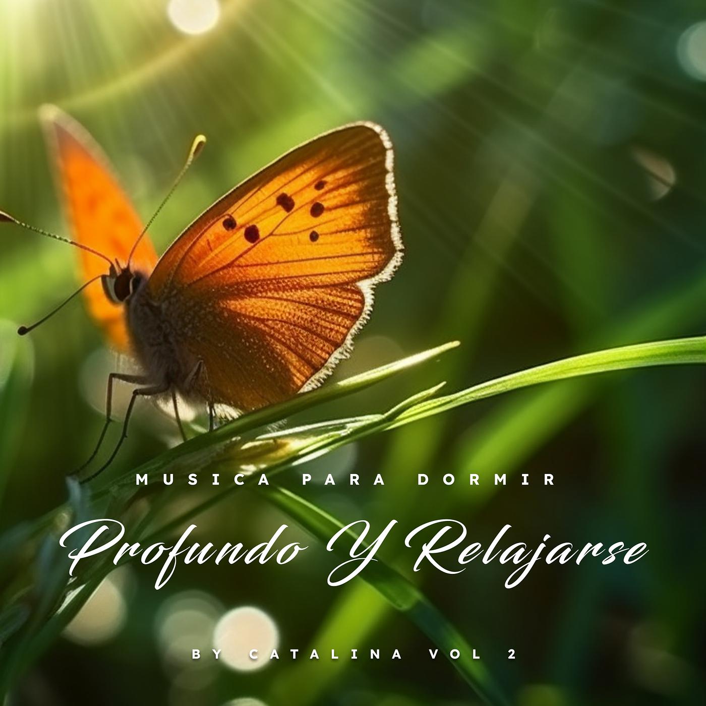 Постер альбома Musica Para Dormir Profundo Y Relajarse by Catalina, Vol. 2