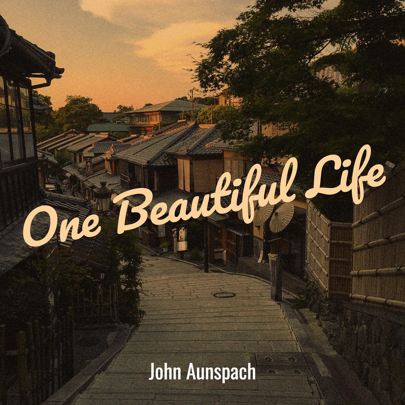 Постер альбома One Beautiful Life