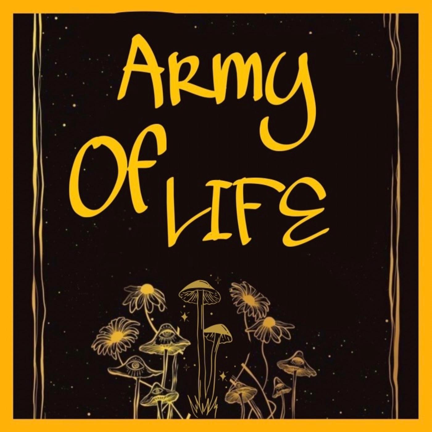 Постер альбома Army of Life