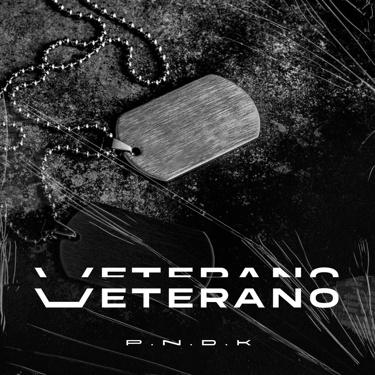 Постер альбома Veterano