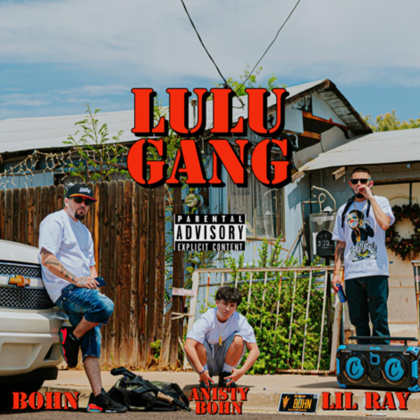 Постер альбома Lulu Gang