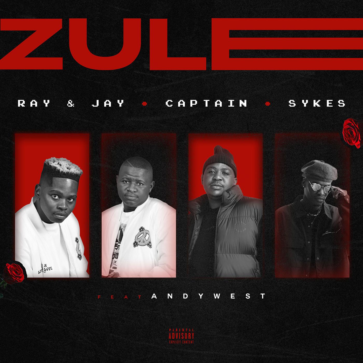 Постер альбома Zule