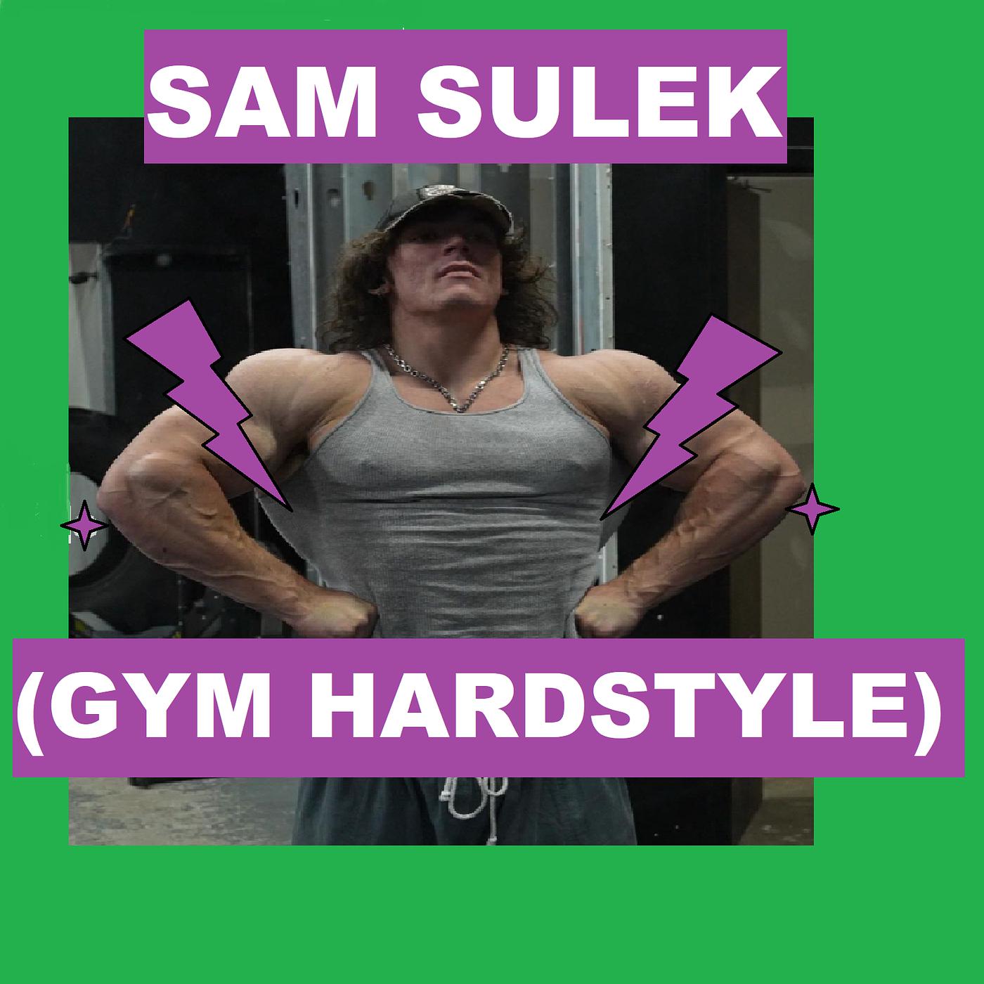 Постер альбома Sam Sulek (Gym Hardstyle)