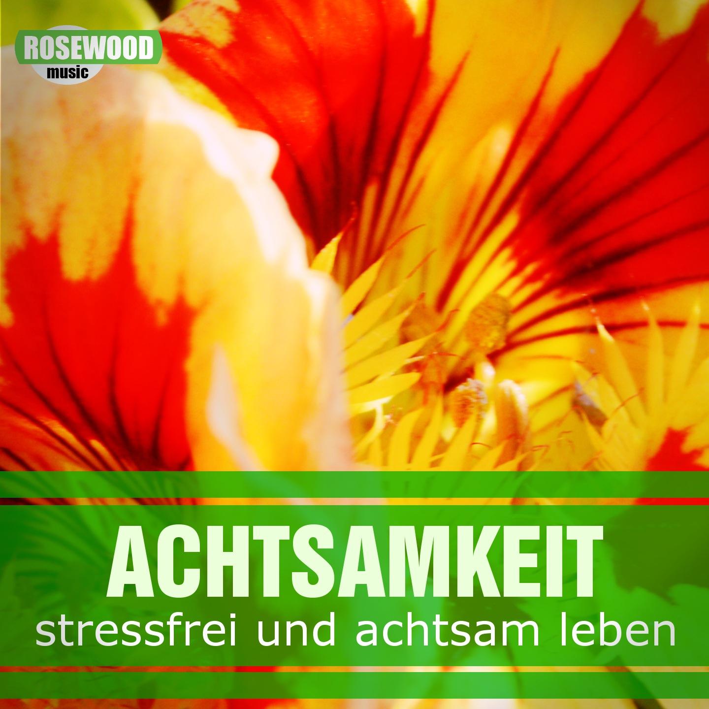 Постер альбома Achtsamkeit