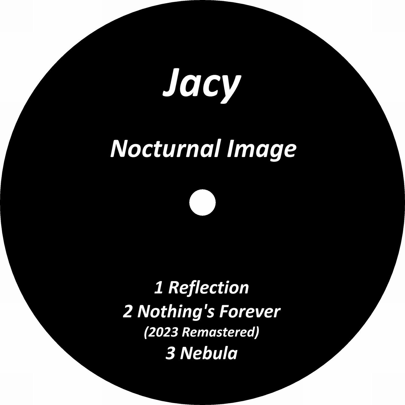 Постер альбома Nocturnal Image