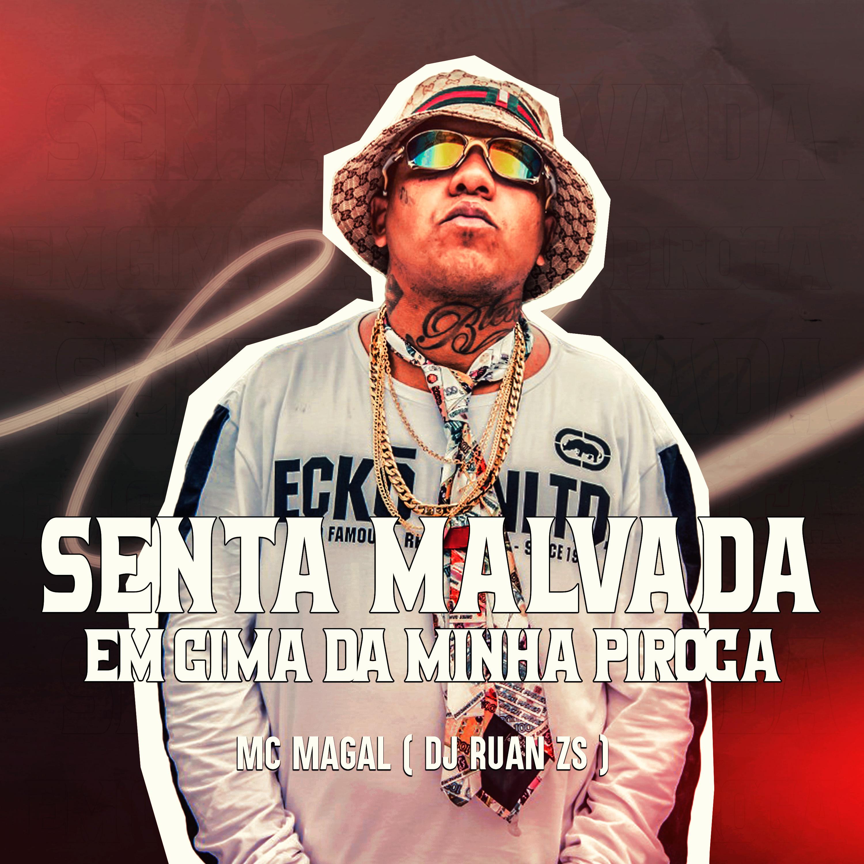 Постер альбома Senta Malvada em Cima da Minha Piroca