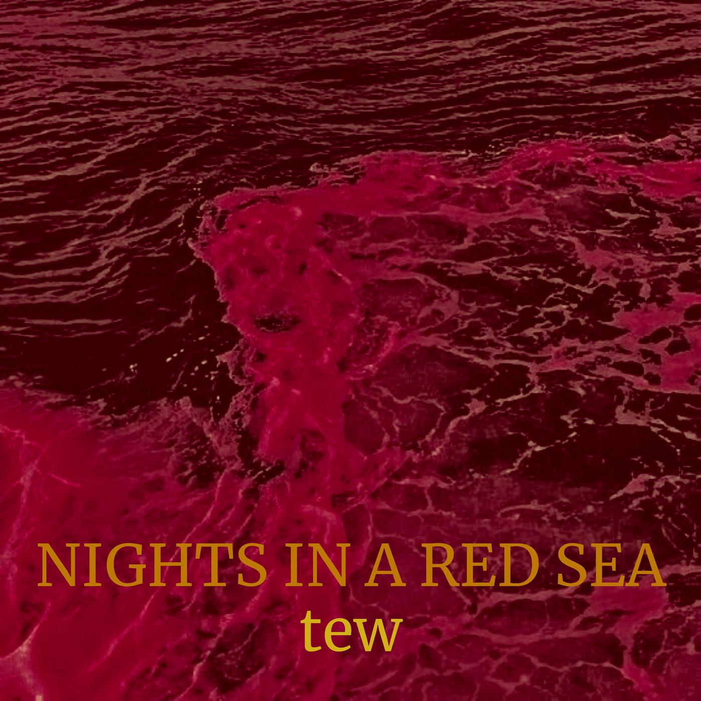 Постер альбома Nights in a Red Sea