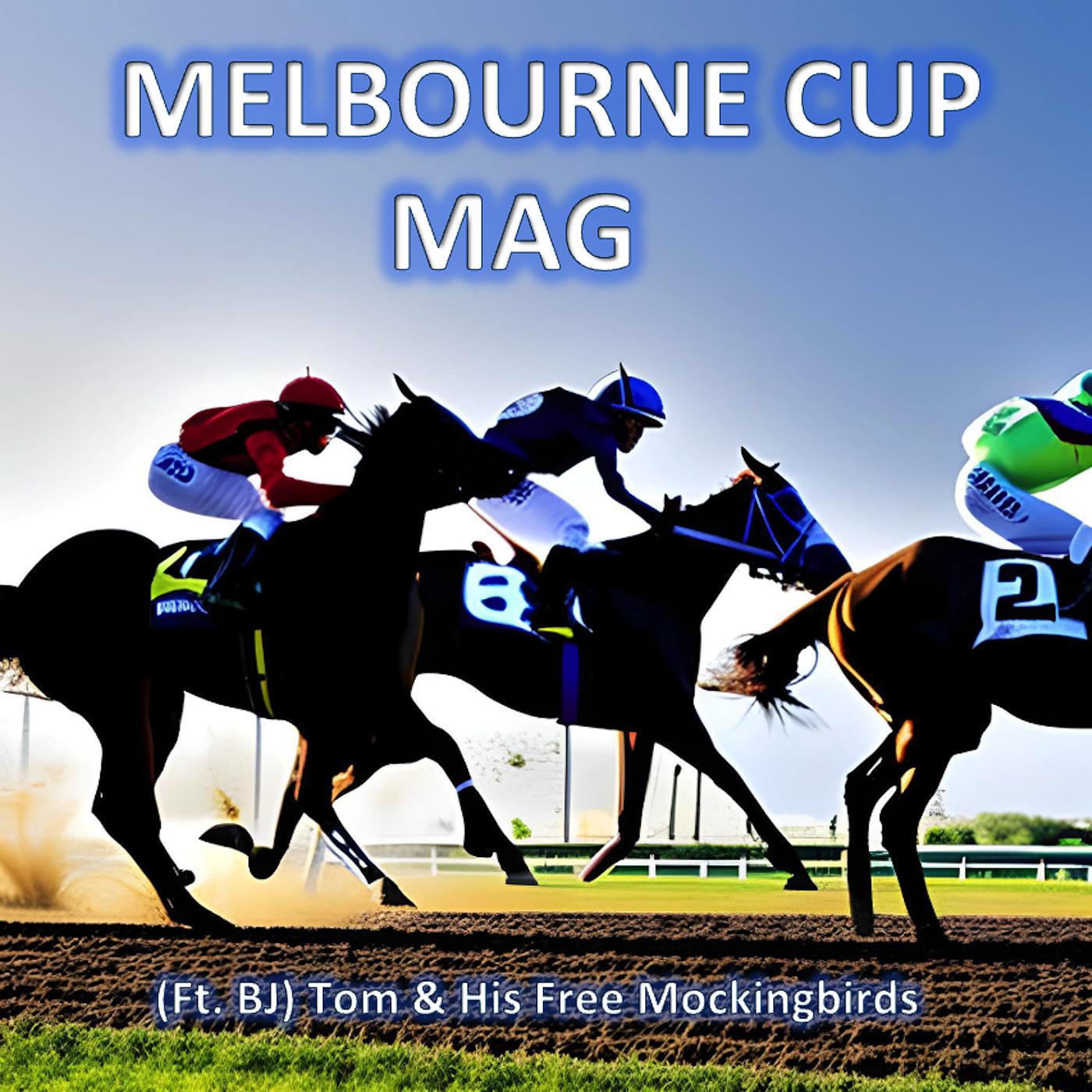 Постер альбома Melbourne Cup Mag (Radio Edit)