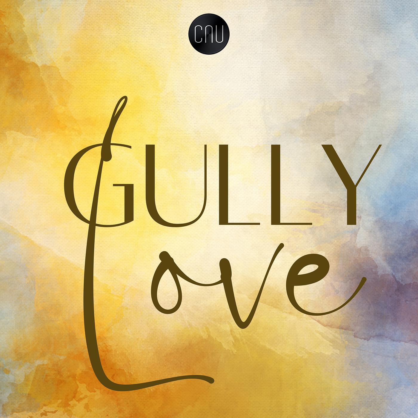 Постер альбома Gully Love