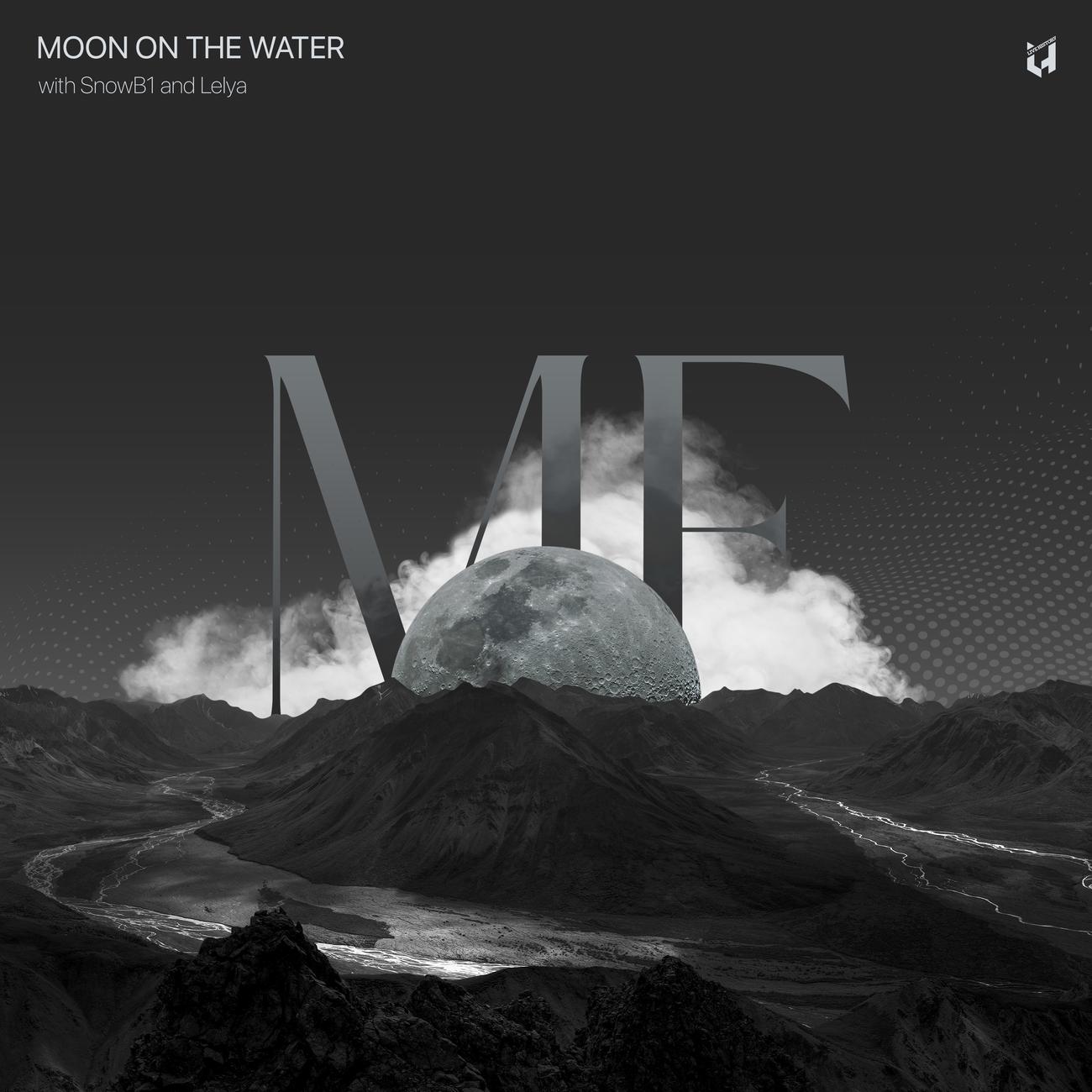 Постер альбома Moon On The Water