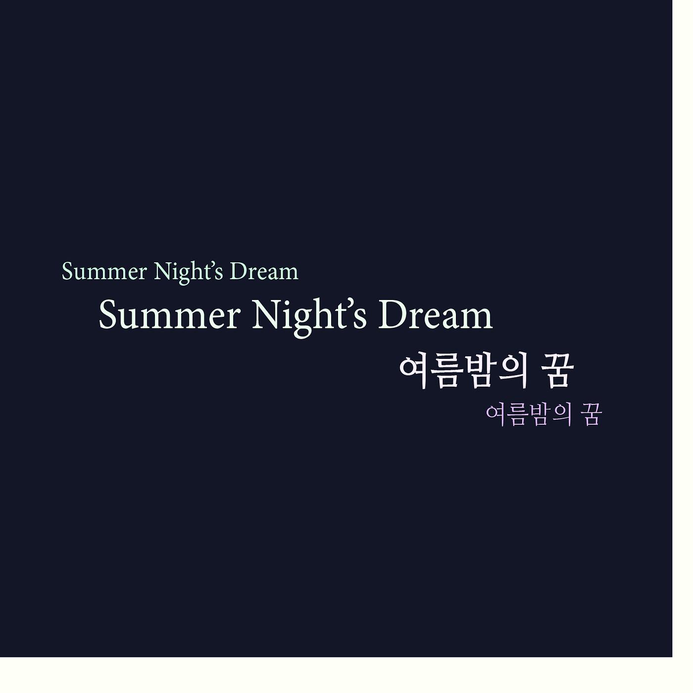 Постер альбома Summer Night's Dream