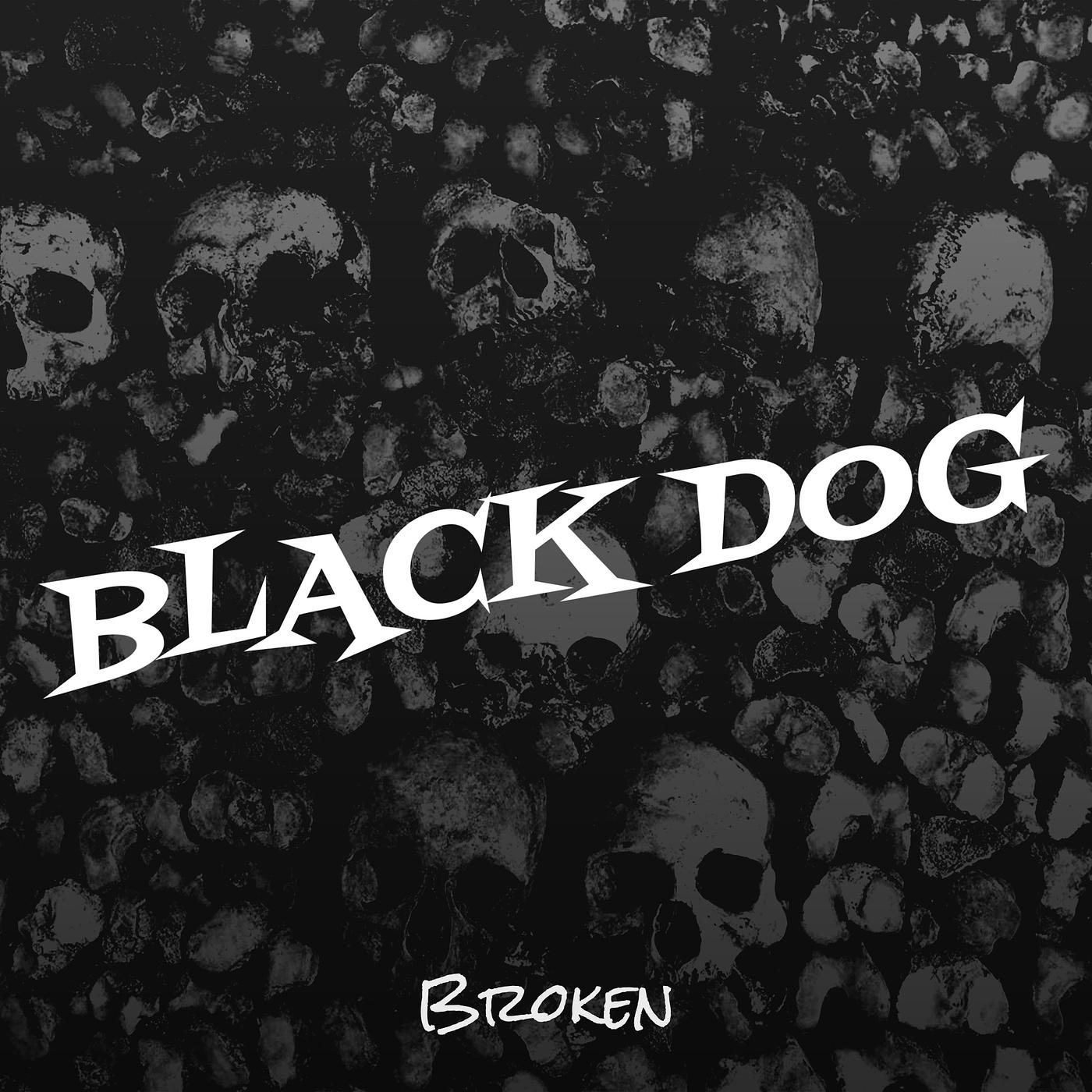 Постер альбома Black Dog
