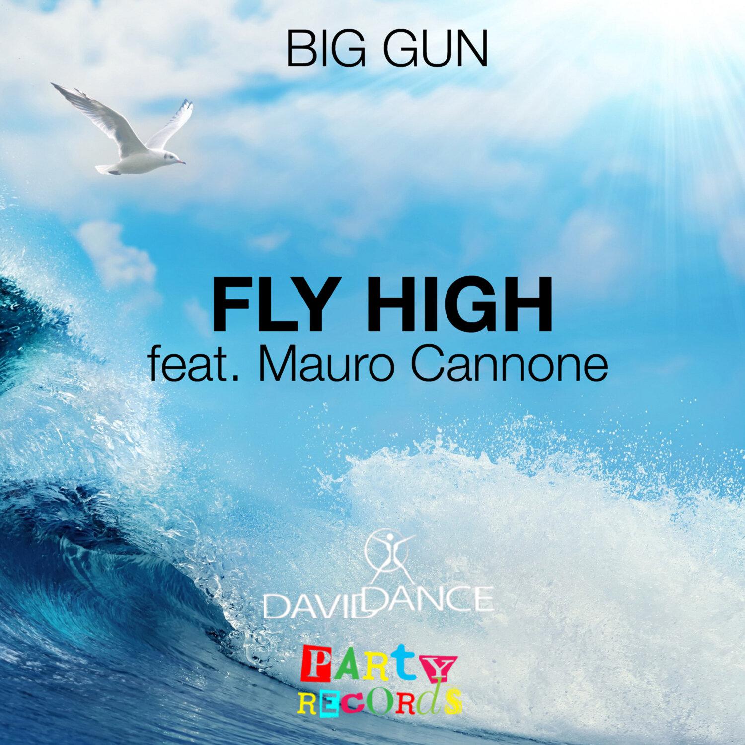 Постер альбома Fly High (feat. Mauro Cannone) - Single