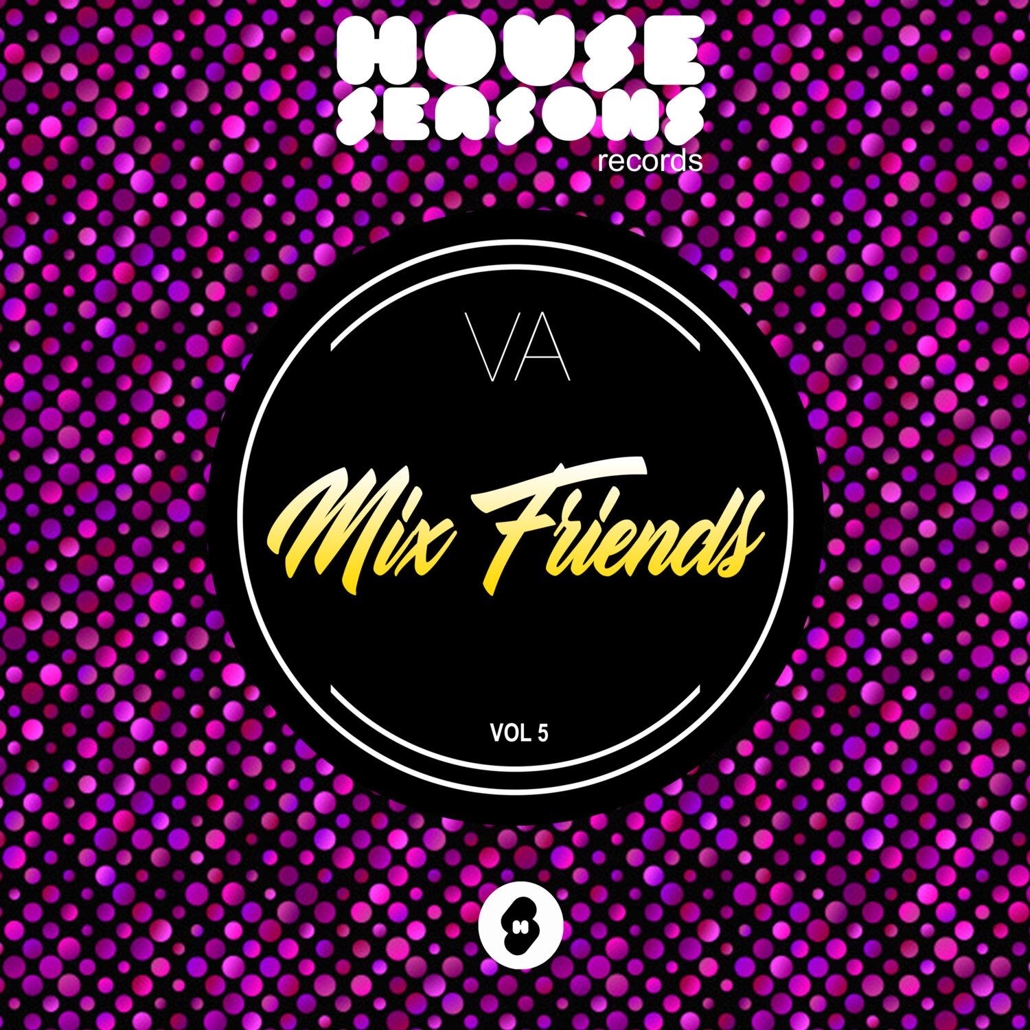 Постер альбома Present: Mix Friends Vol 5