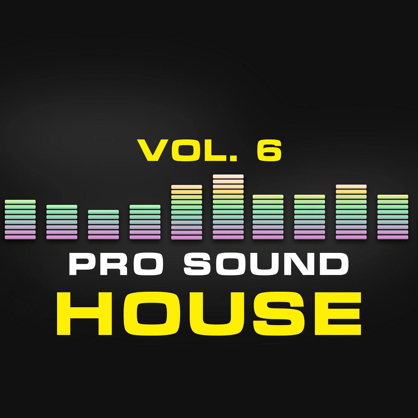 Постер альбома Pro Sound: House, Vol. 6