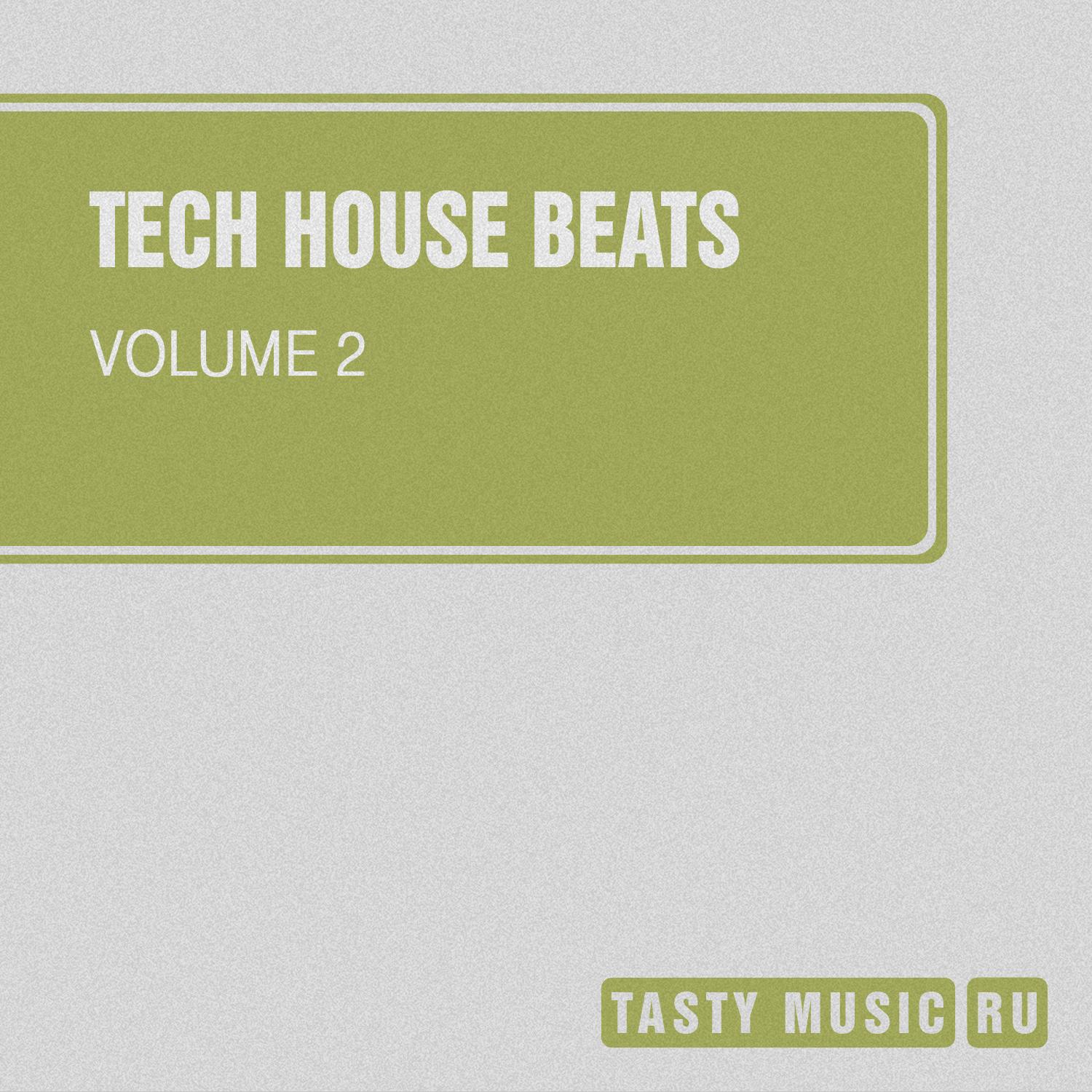 Постер альбома Tech House Beats, Vol. 2