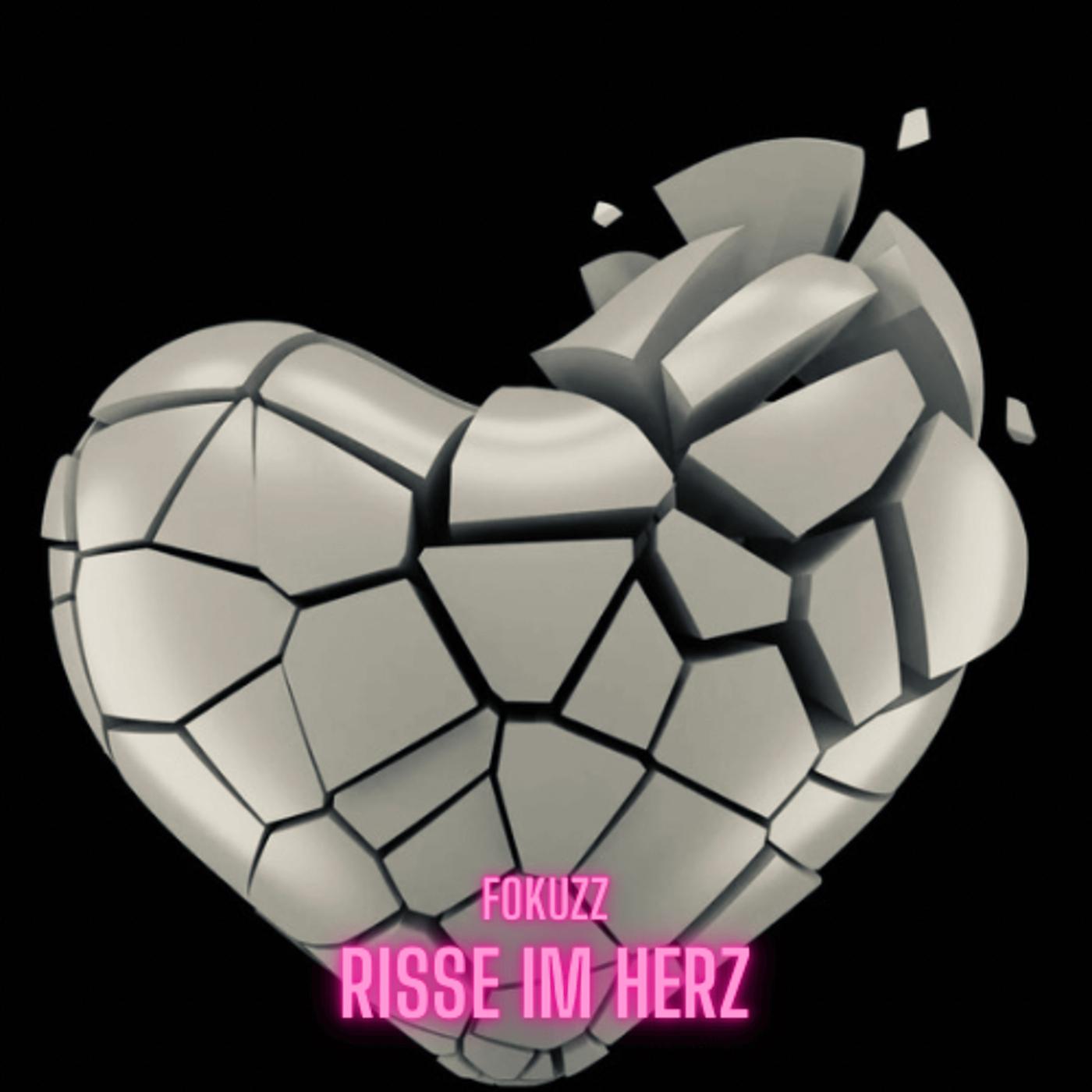 Постер альбома Risse Im Herz