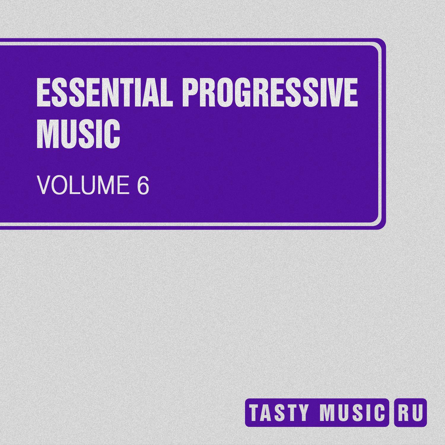 Постер альбома Essential Progressive Music, Vol. 6