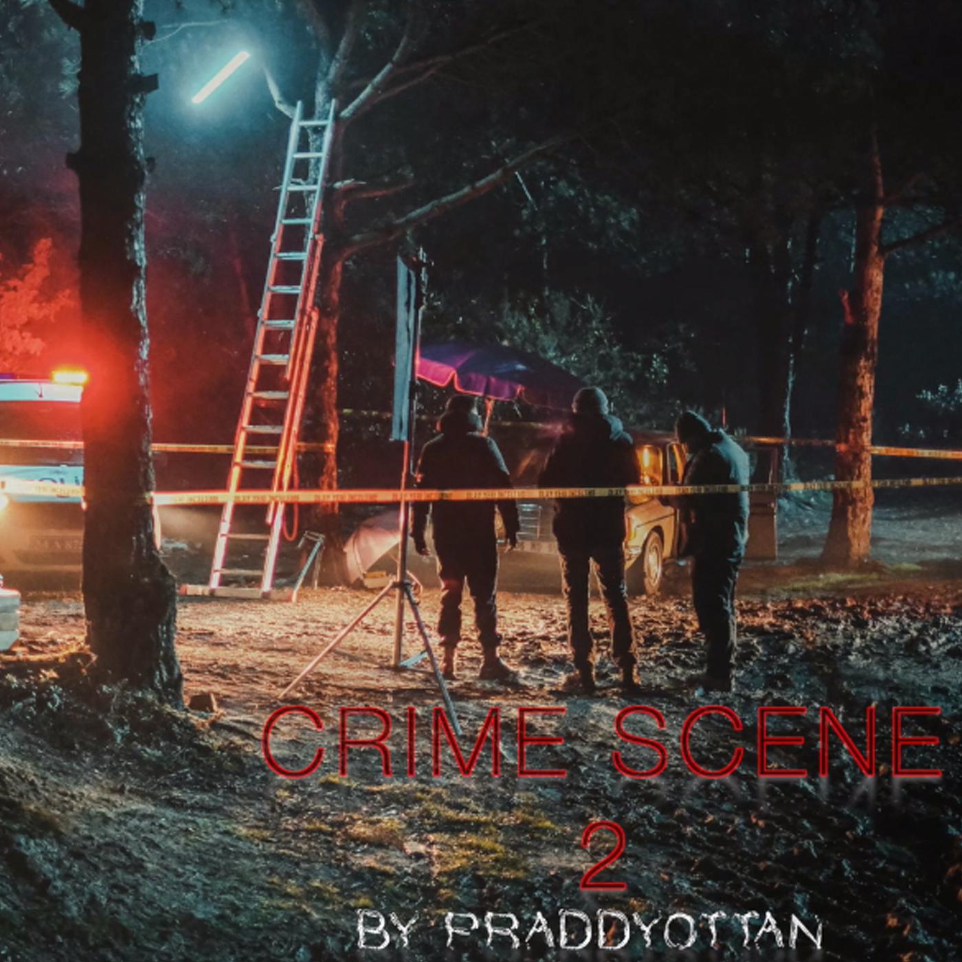 Постер альбома Crime Scene 2
