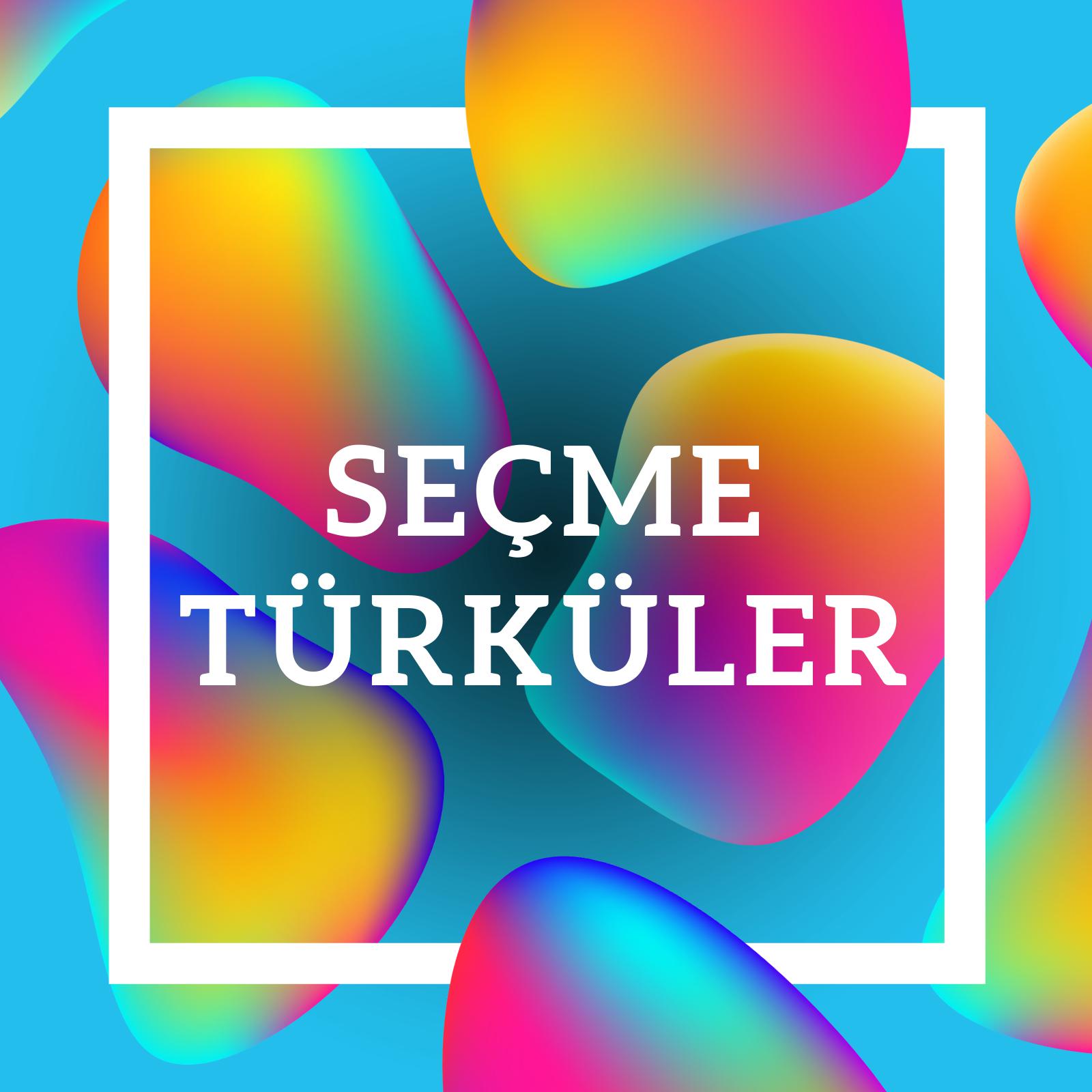 Постер альбома Seçme Türküler