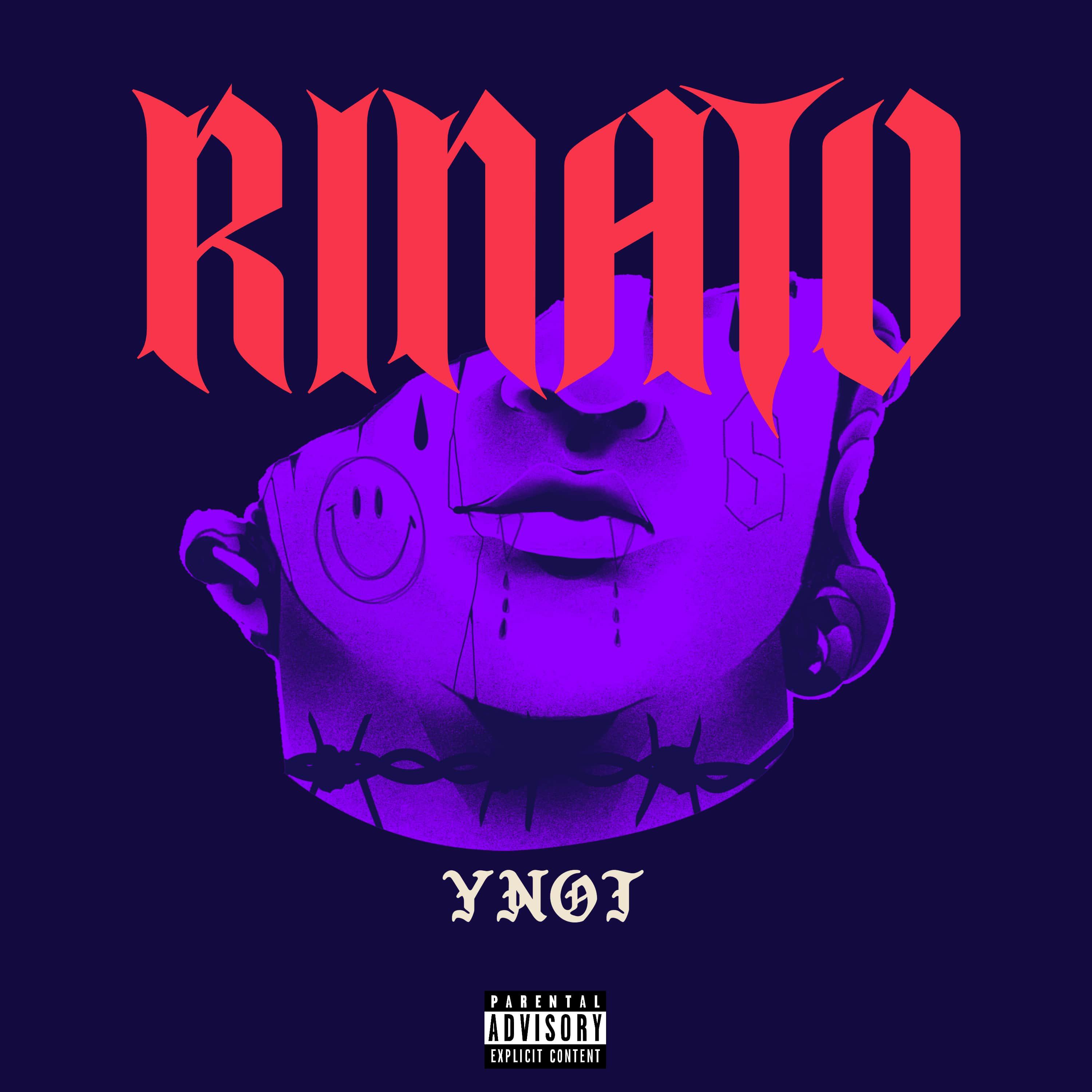 Постер альбома Rinato