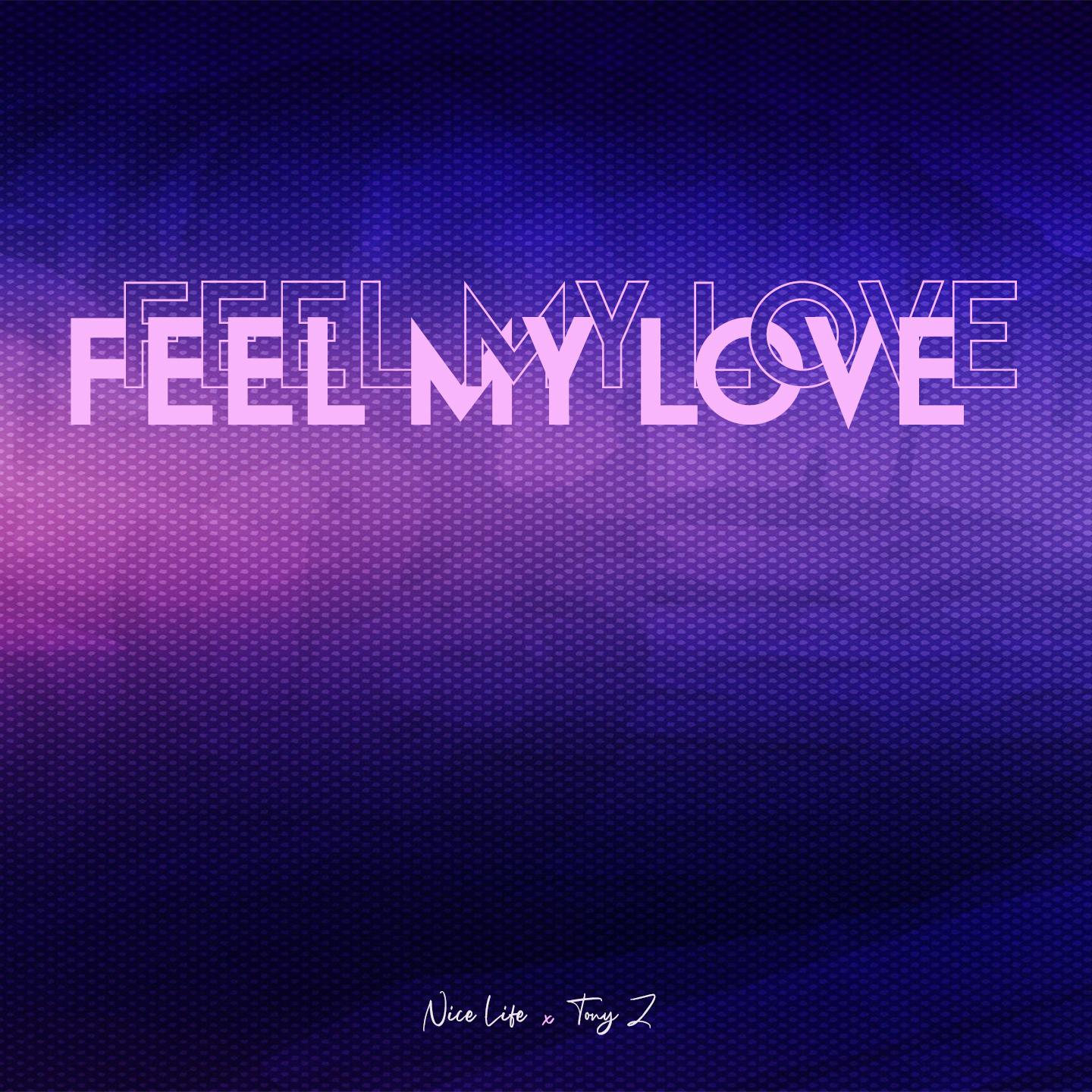 Постер альбома Feel My Love