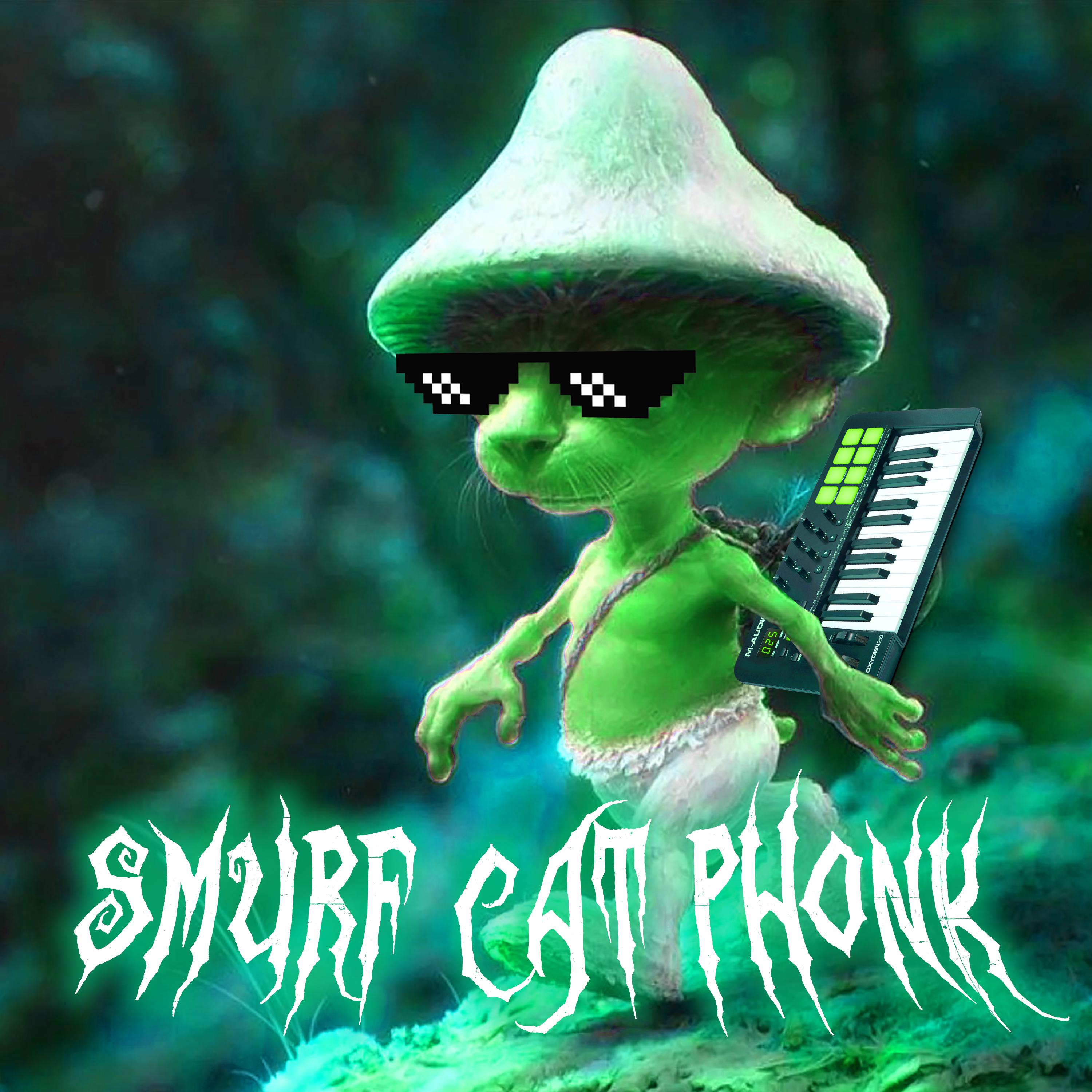 Постер альбома SMURF CAT PHONK