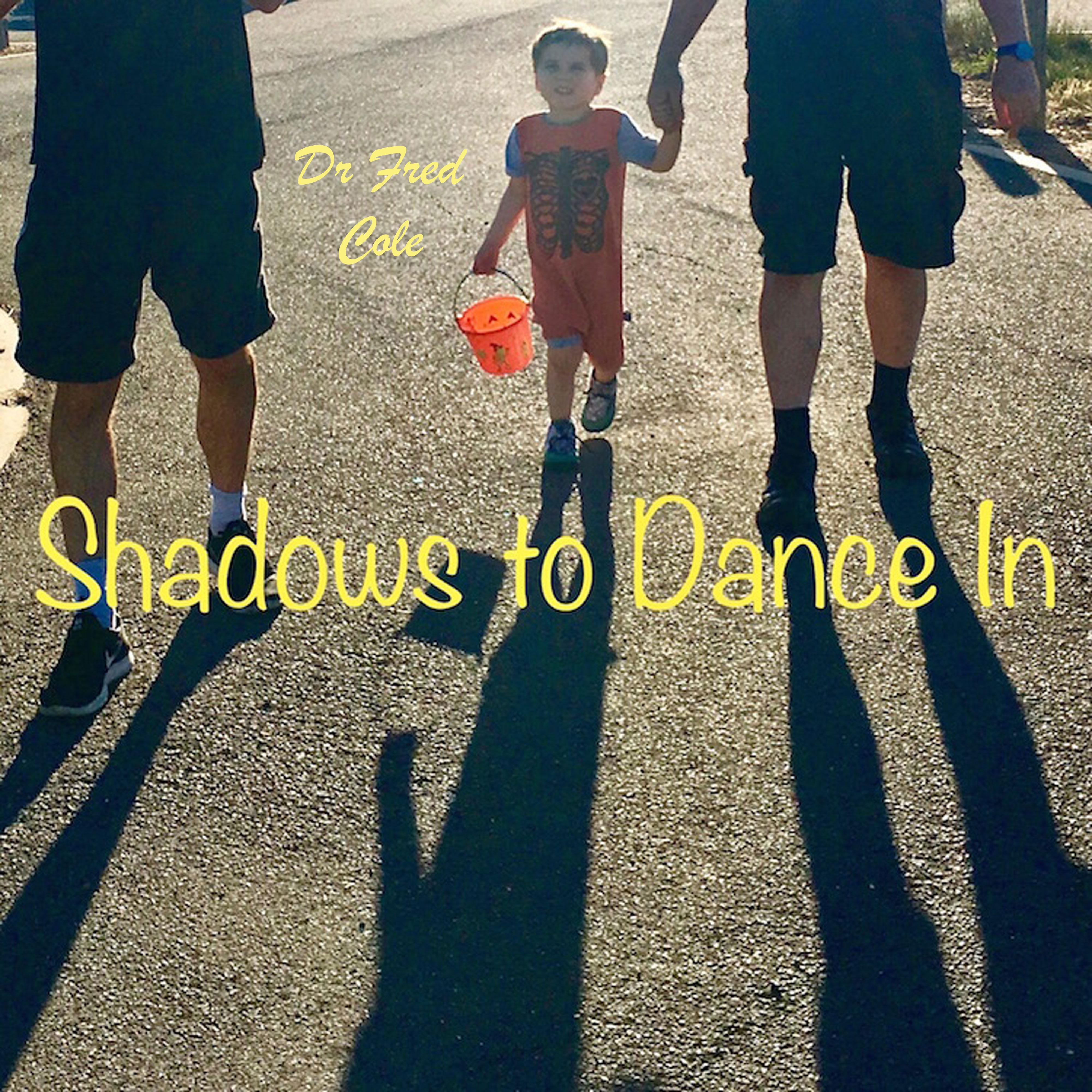 Постер альбома Shadows To Dance In