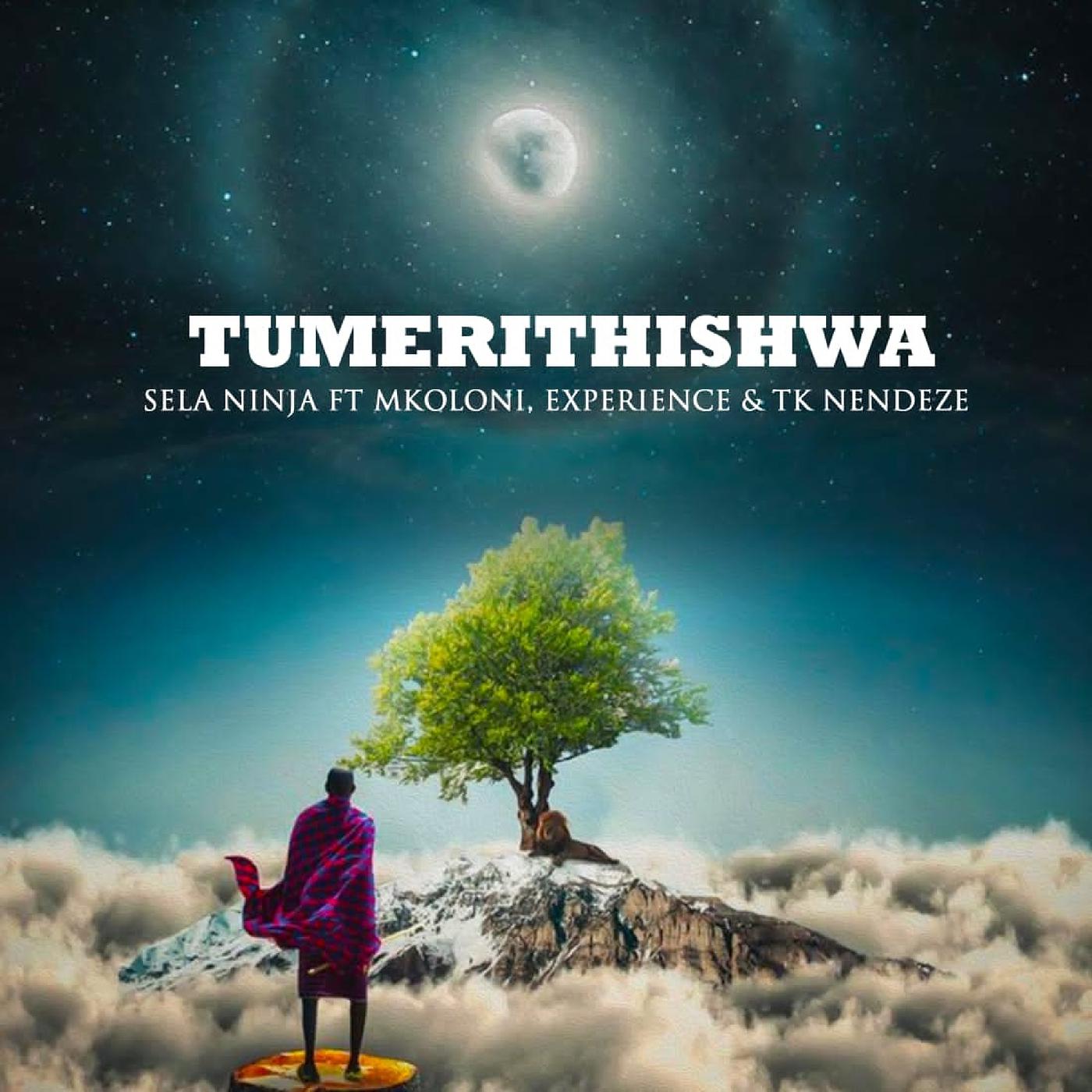 Постер альбома Tumerithishwa