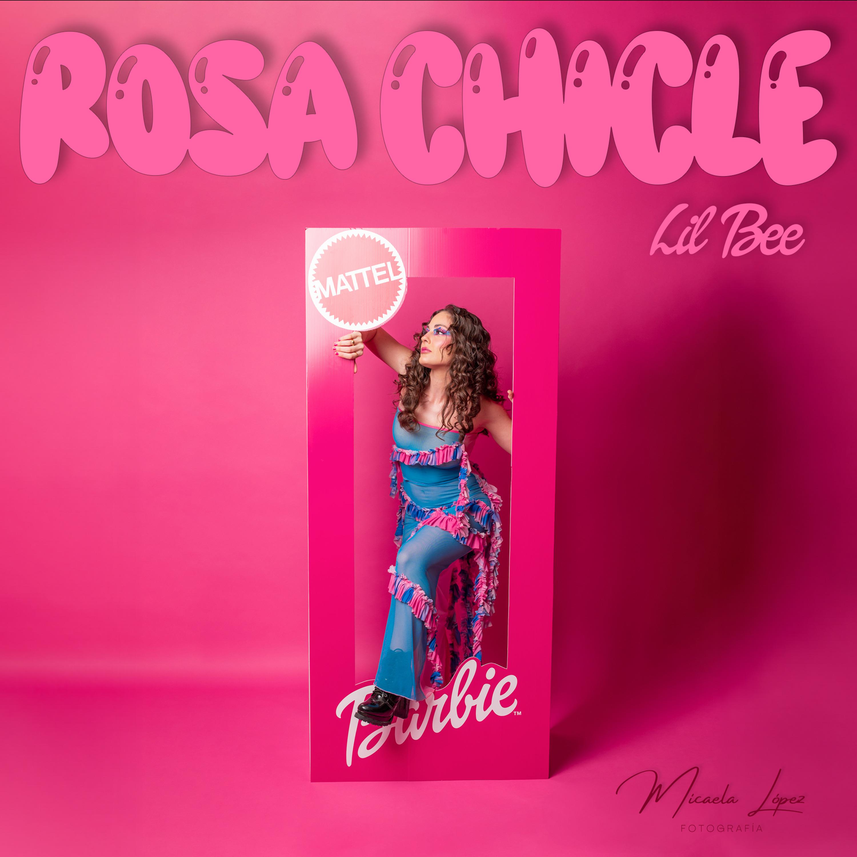 Постер альбома Rosa Chicle