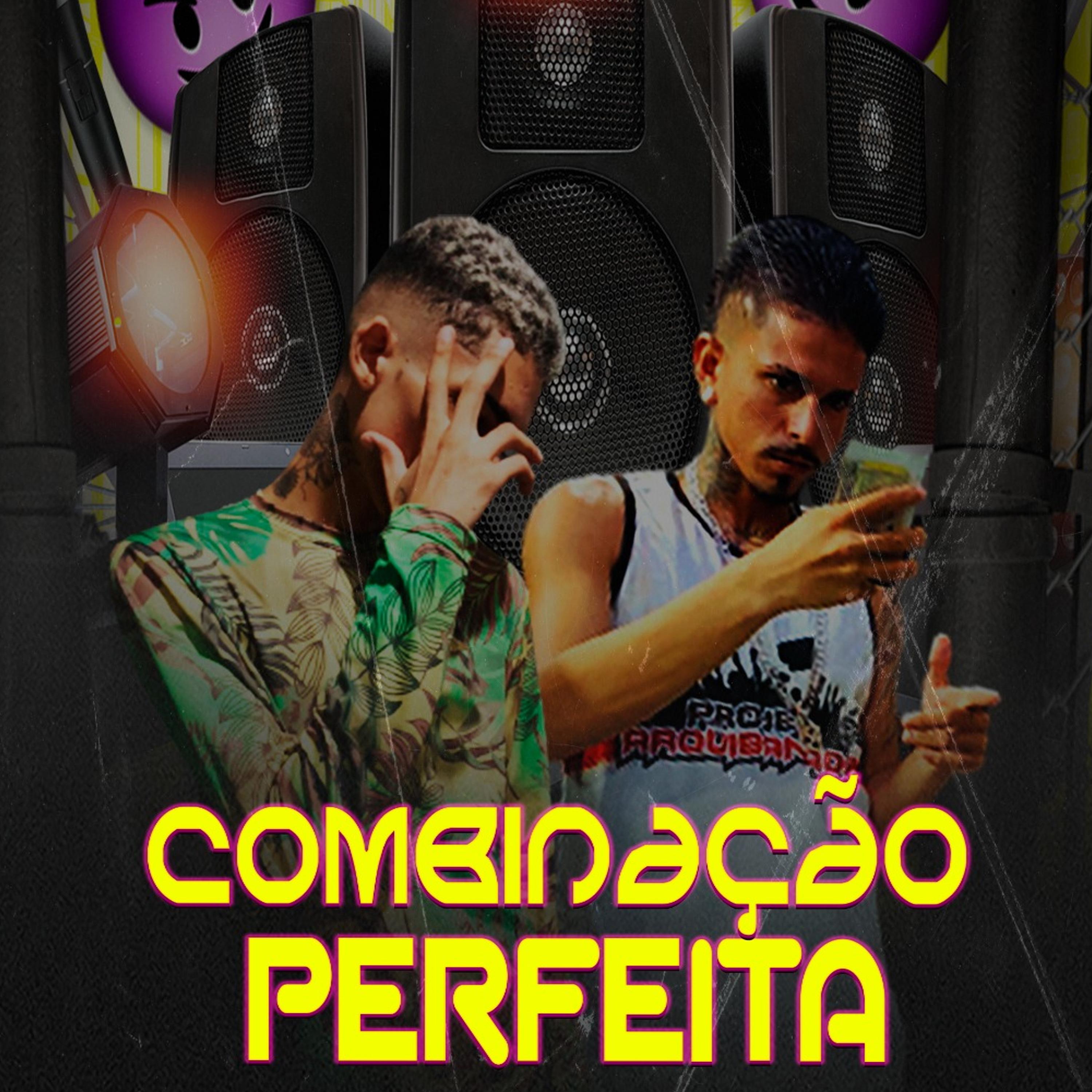 Постер альбома Combinação Perfeita