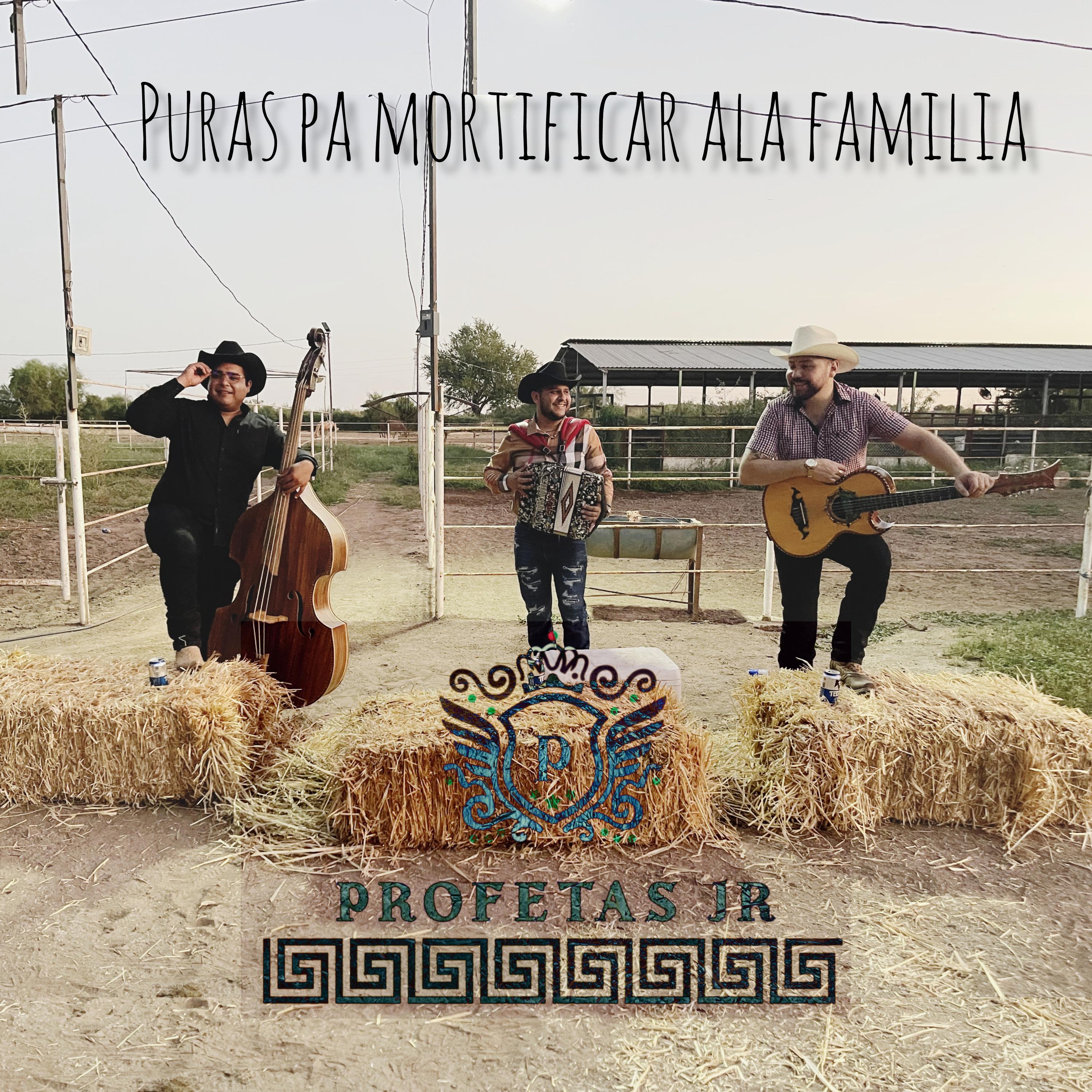 Постер альбома Puras Pa Mortificar Ala Familia