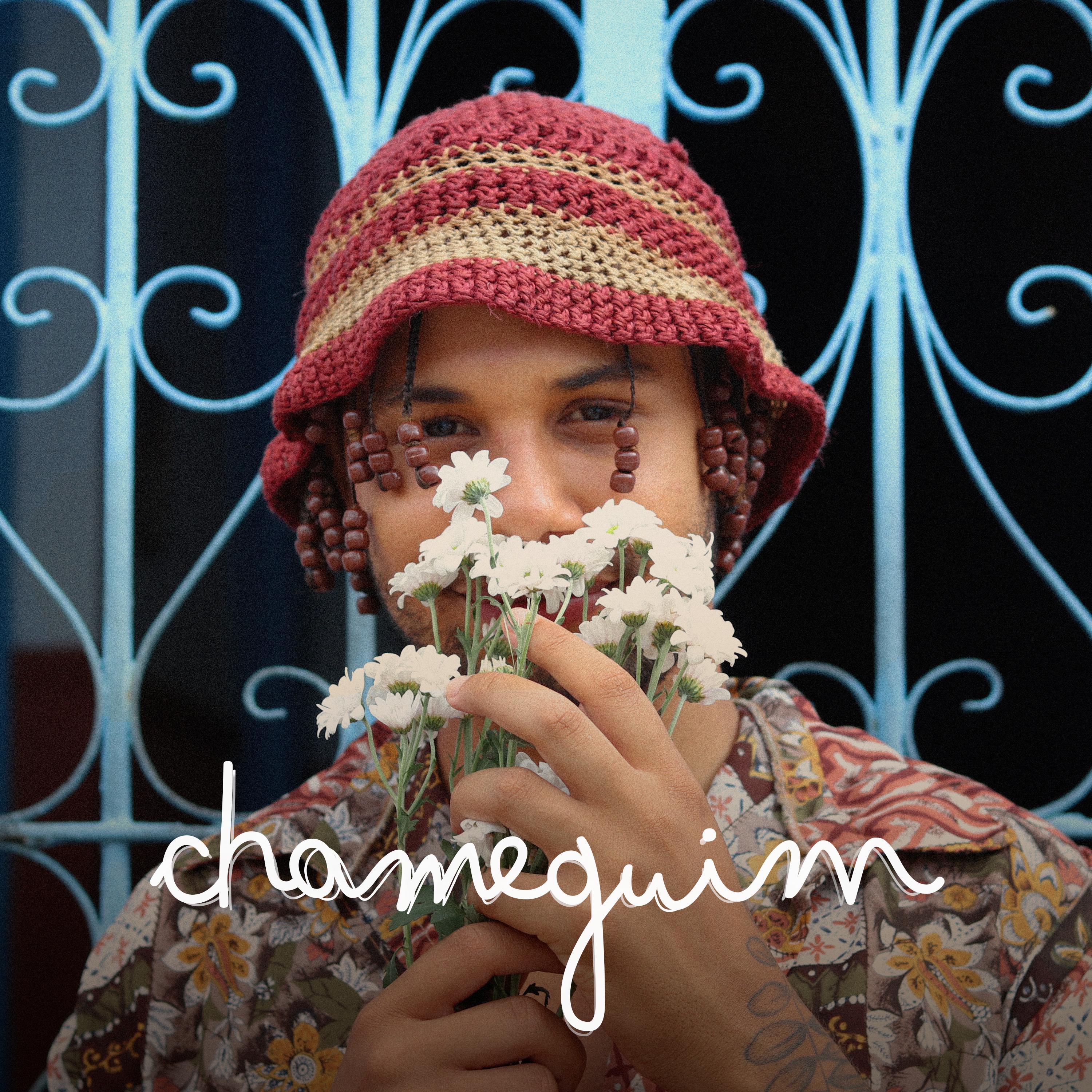 Постер альбома Chameguim