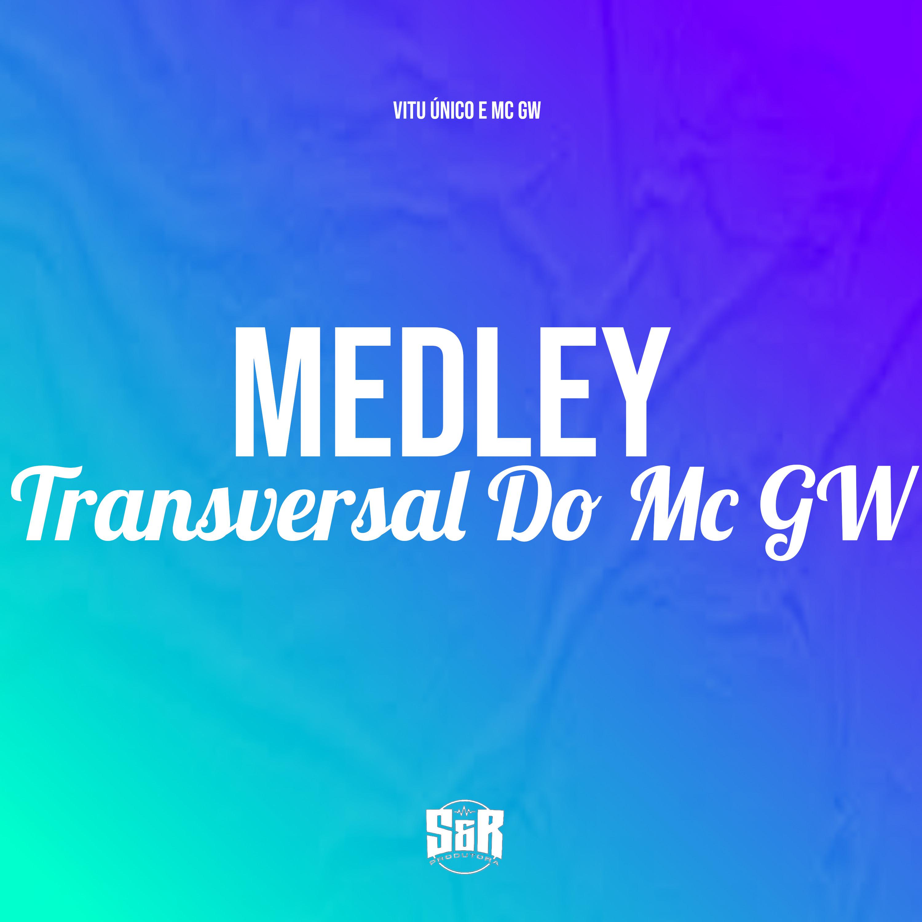 Постер альбома Medley Transversal do Mc Gw