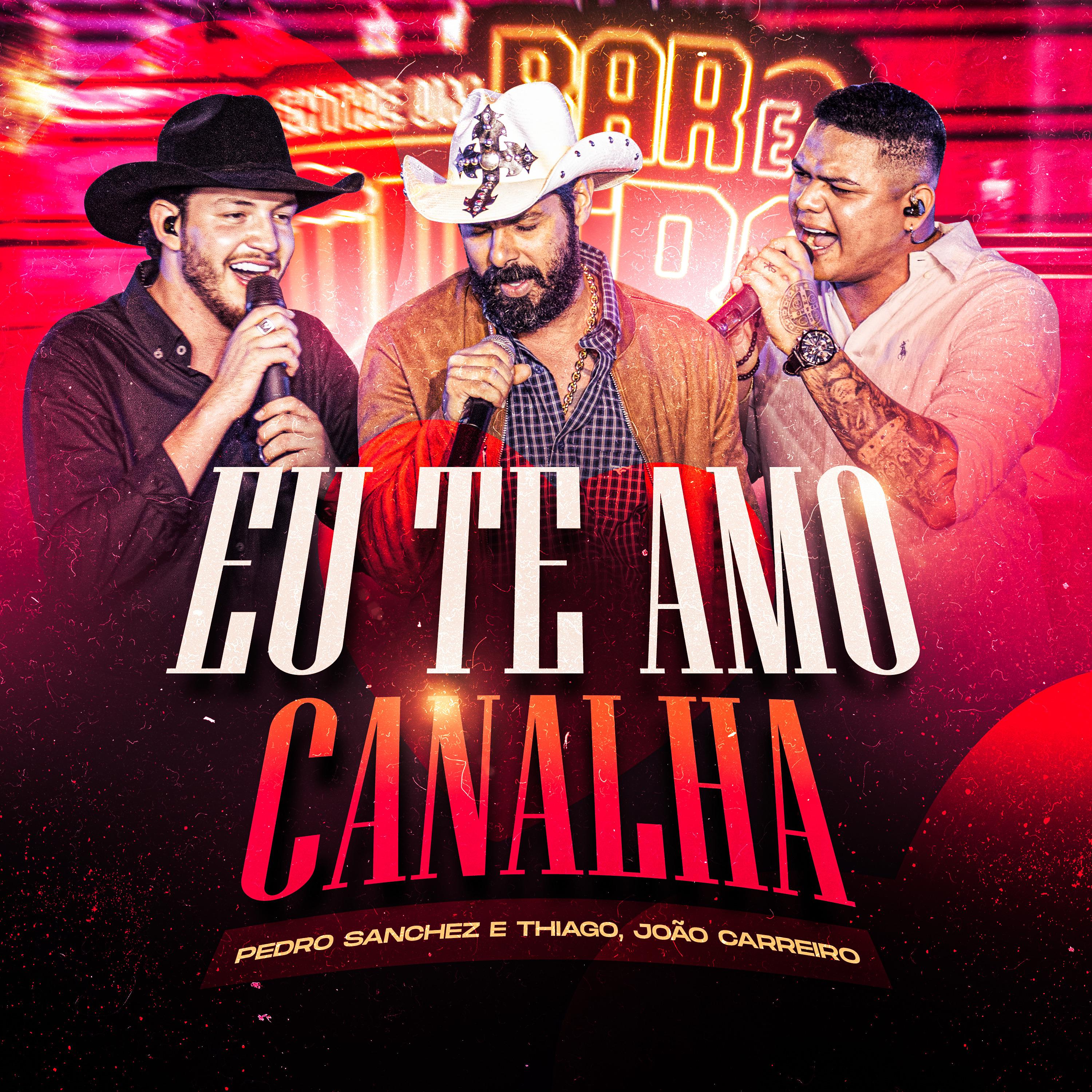 Постер альбома Eu Te Amo Canalha