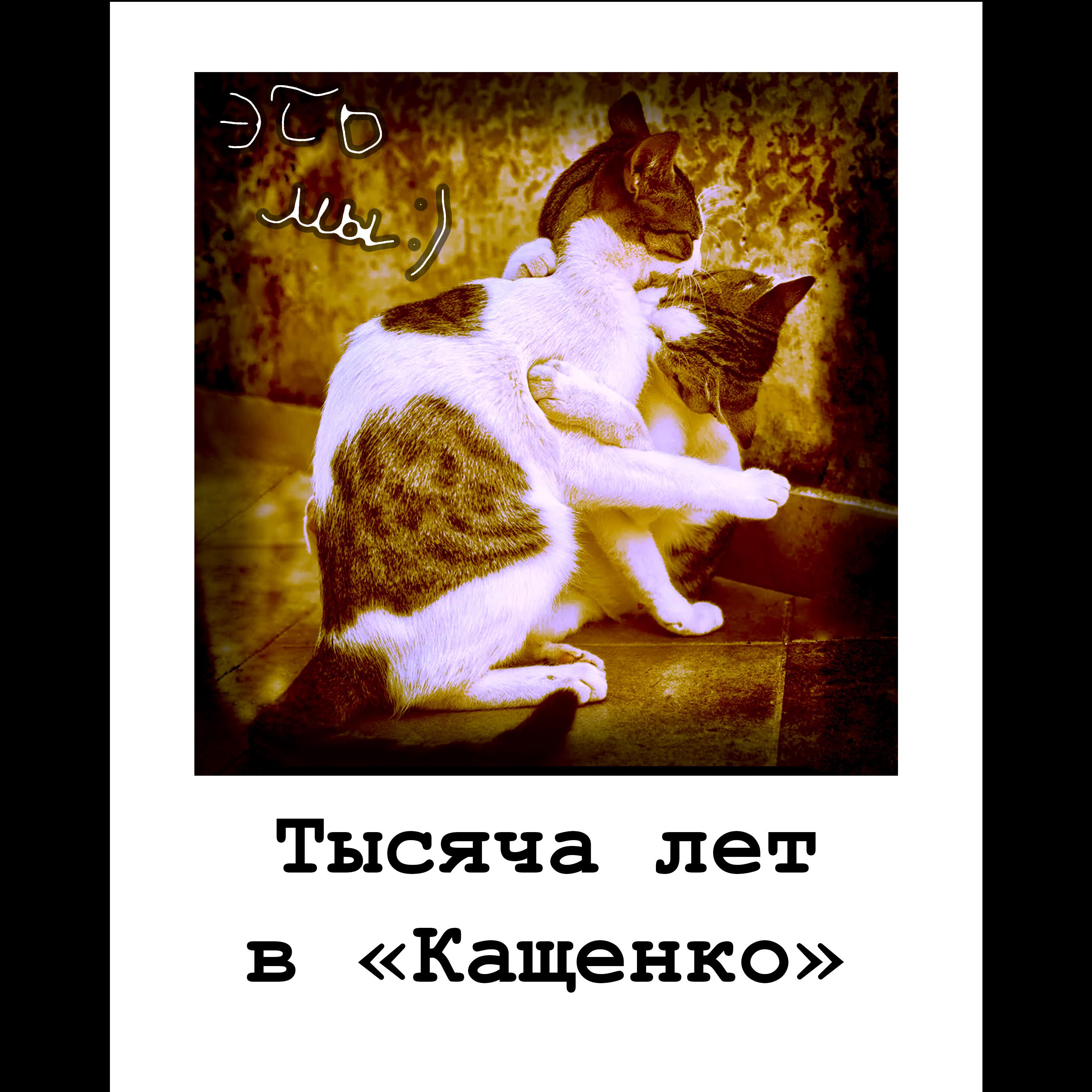 Постер альбома ТЫСЯЧА ЛЕТ В "КАЩЕНКО"