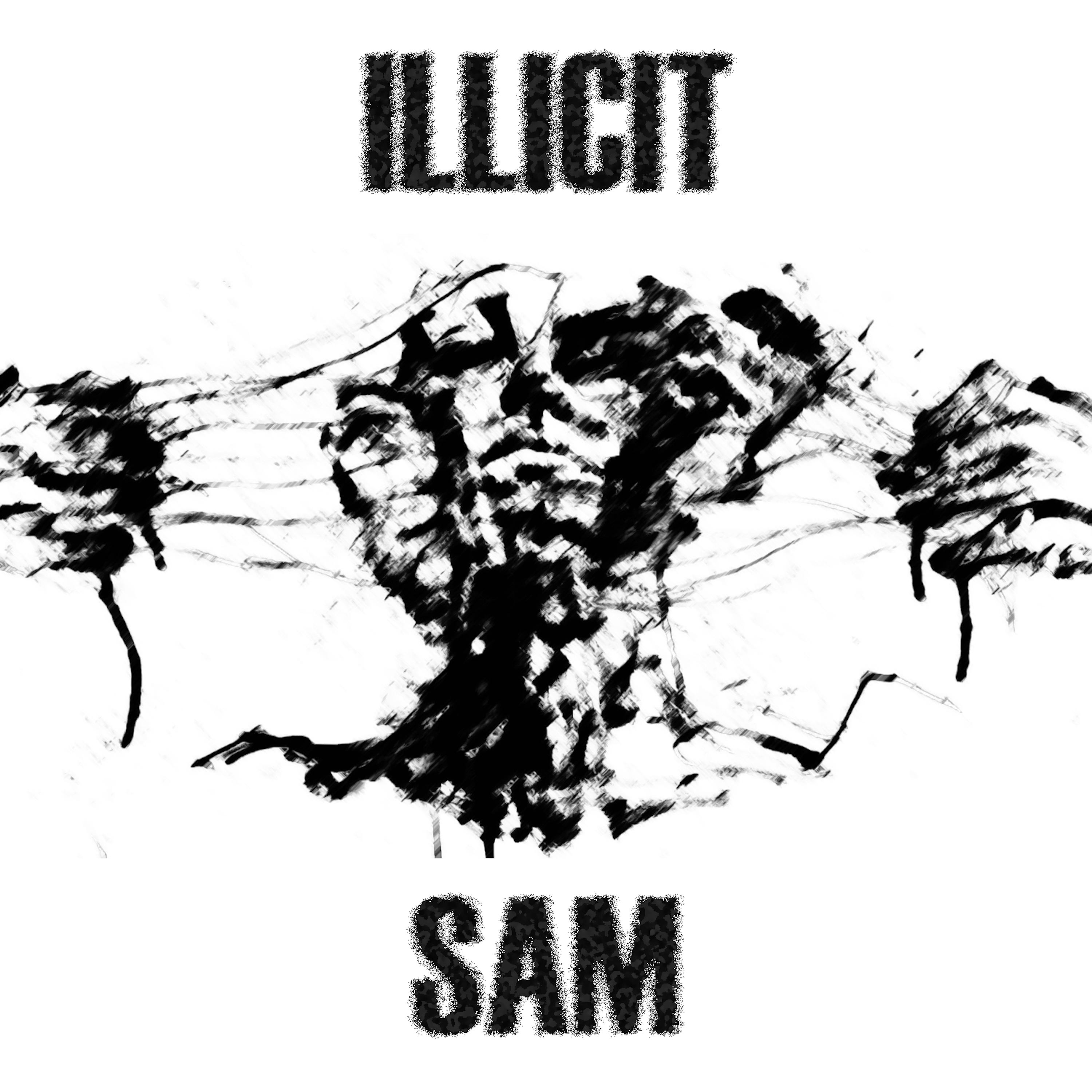 Постер альбома SAM