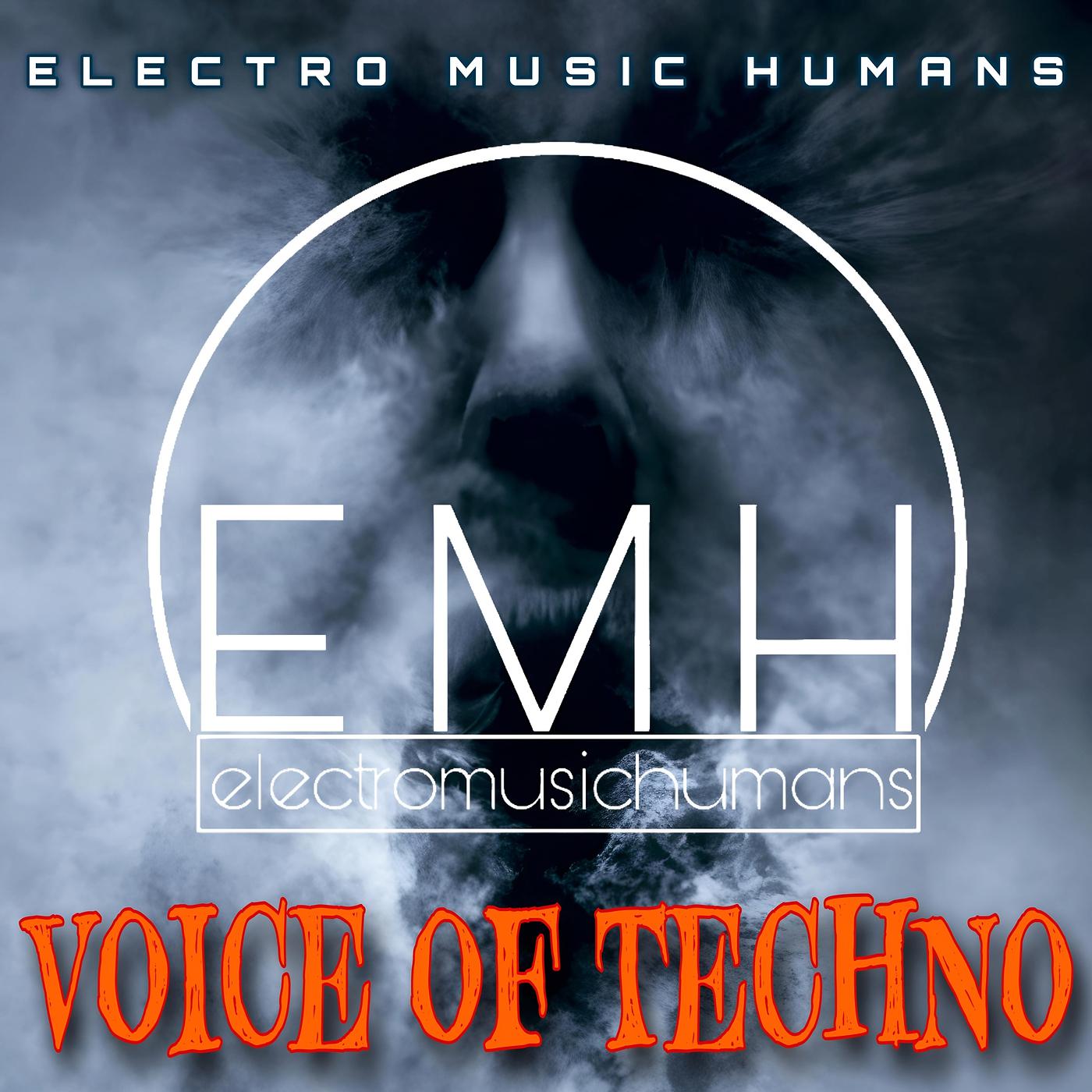 Постер альбома Voice of Techno